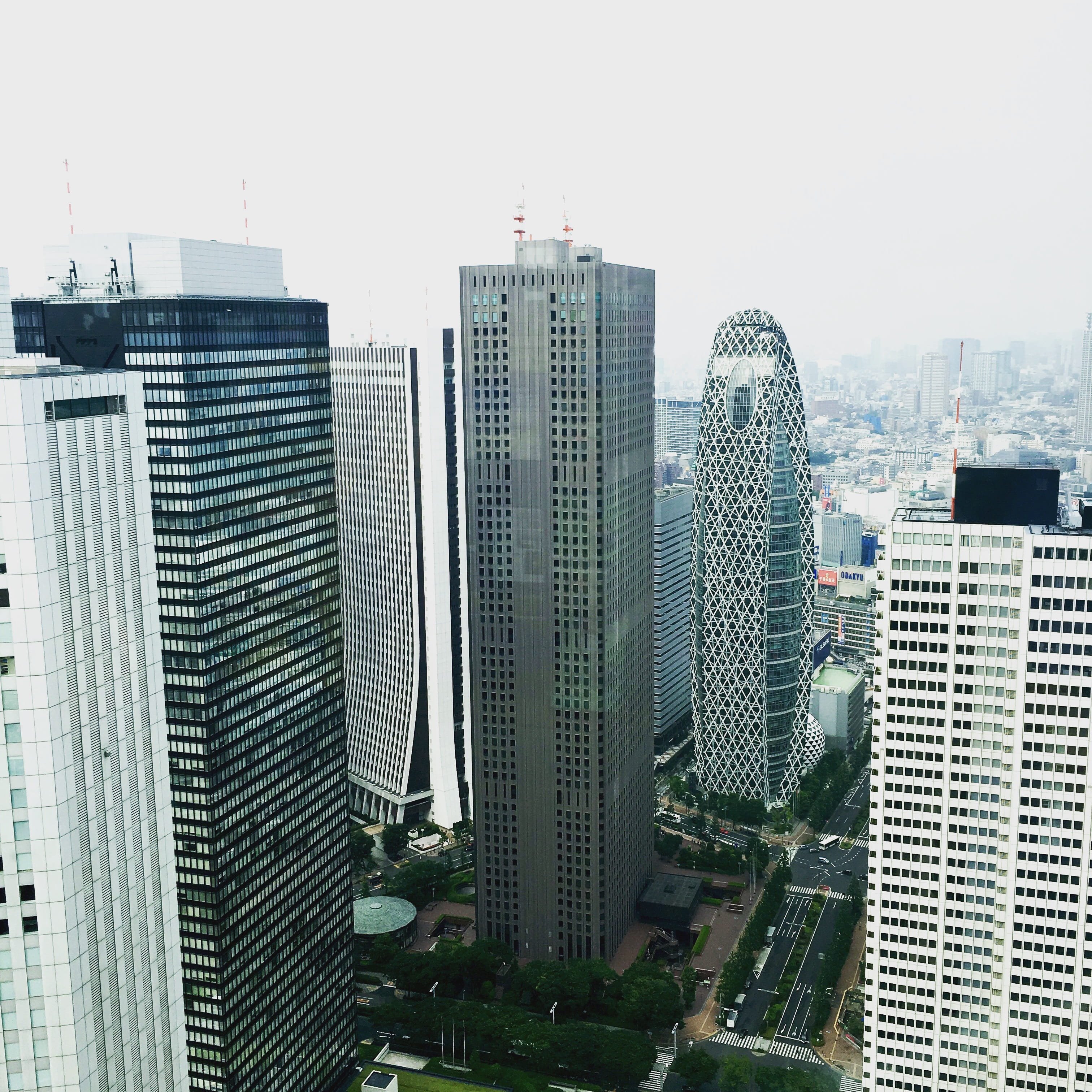 outdoors, view, clear sky, settlement, day, tall - high, city, residential district, nature, modern, urban skyline, shinkuki, 2K, building, tokyo, no people, Phone HD Wallpaper