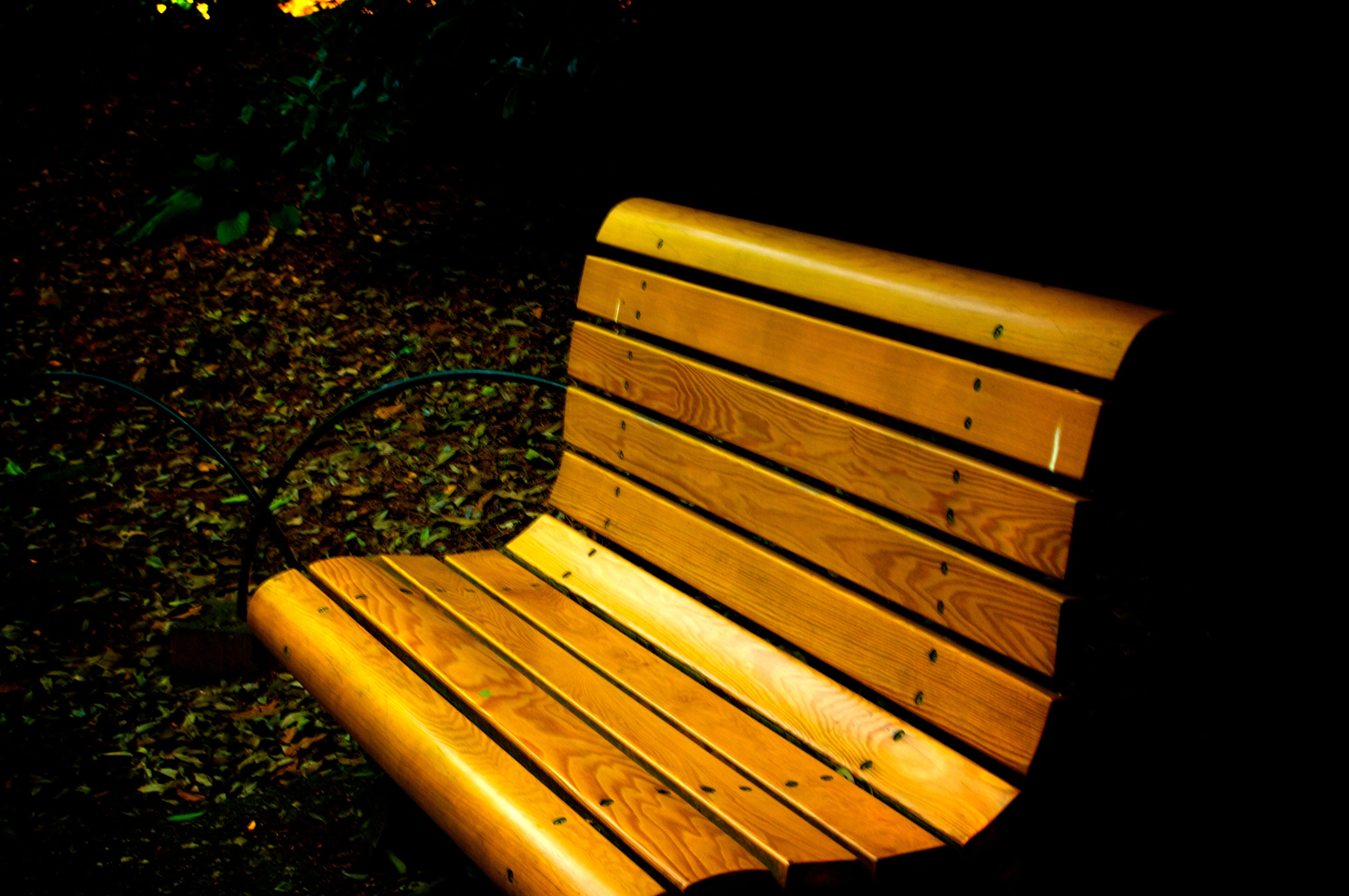 bench, shinjuku gyoen national garden, shinjuku-ku, relaxation, seat, high angle view, japan, empty, park, wood - material, leaf, outdoors, no people, yellow, HD Wallpaper