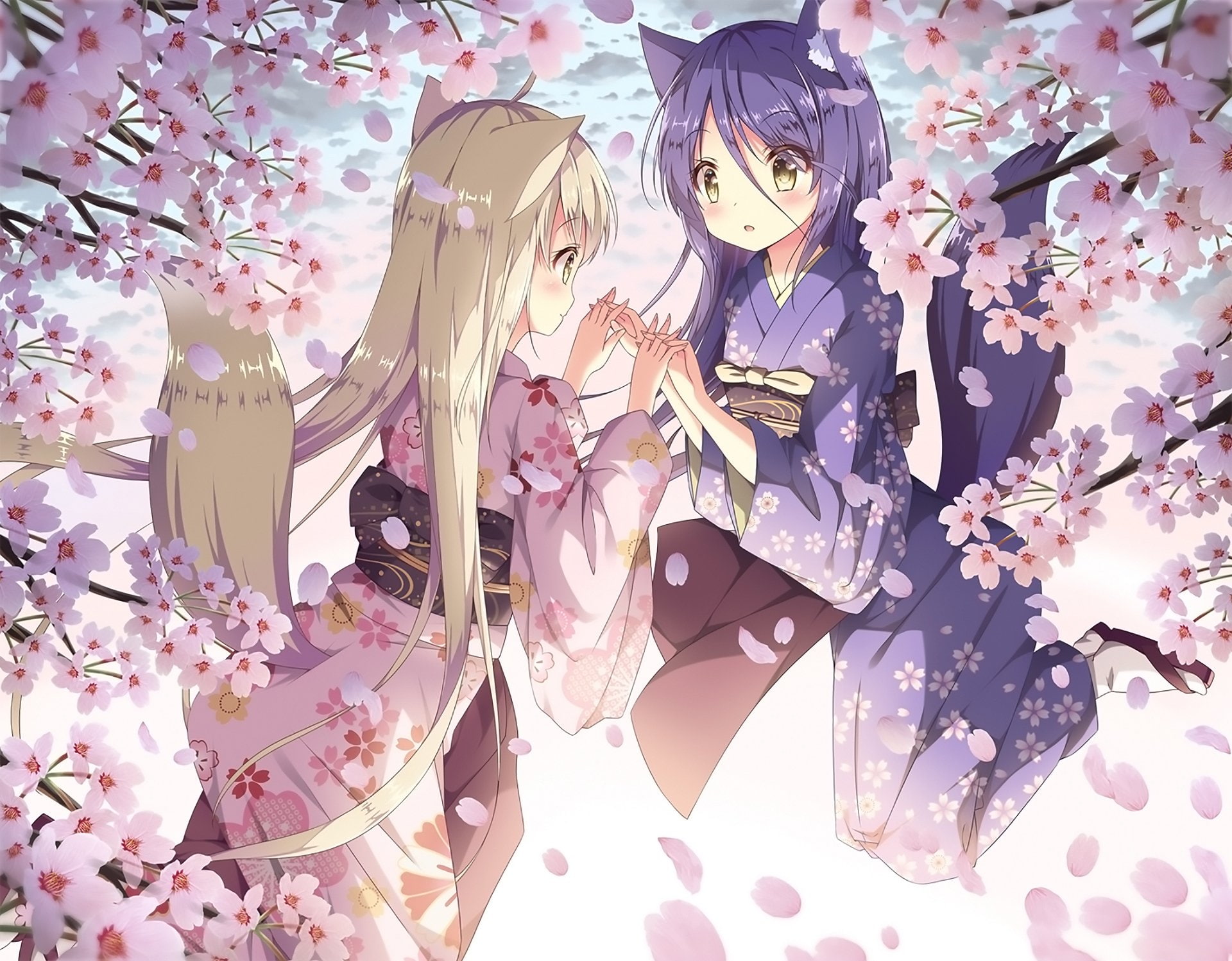 Yuri, beauty in nature, cherry blossom, still life, decoration, Konohana Kitan, Satsuki (Konohana Kitan), Yuzu (Konohana Kitan), 1080P, high angle view, HD Wallpaper