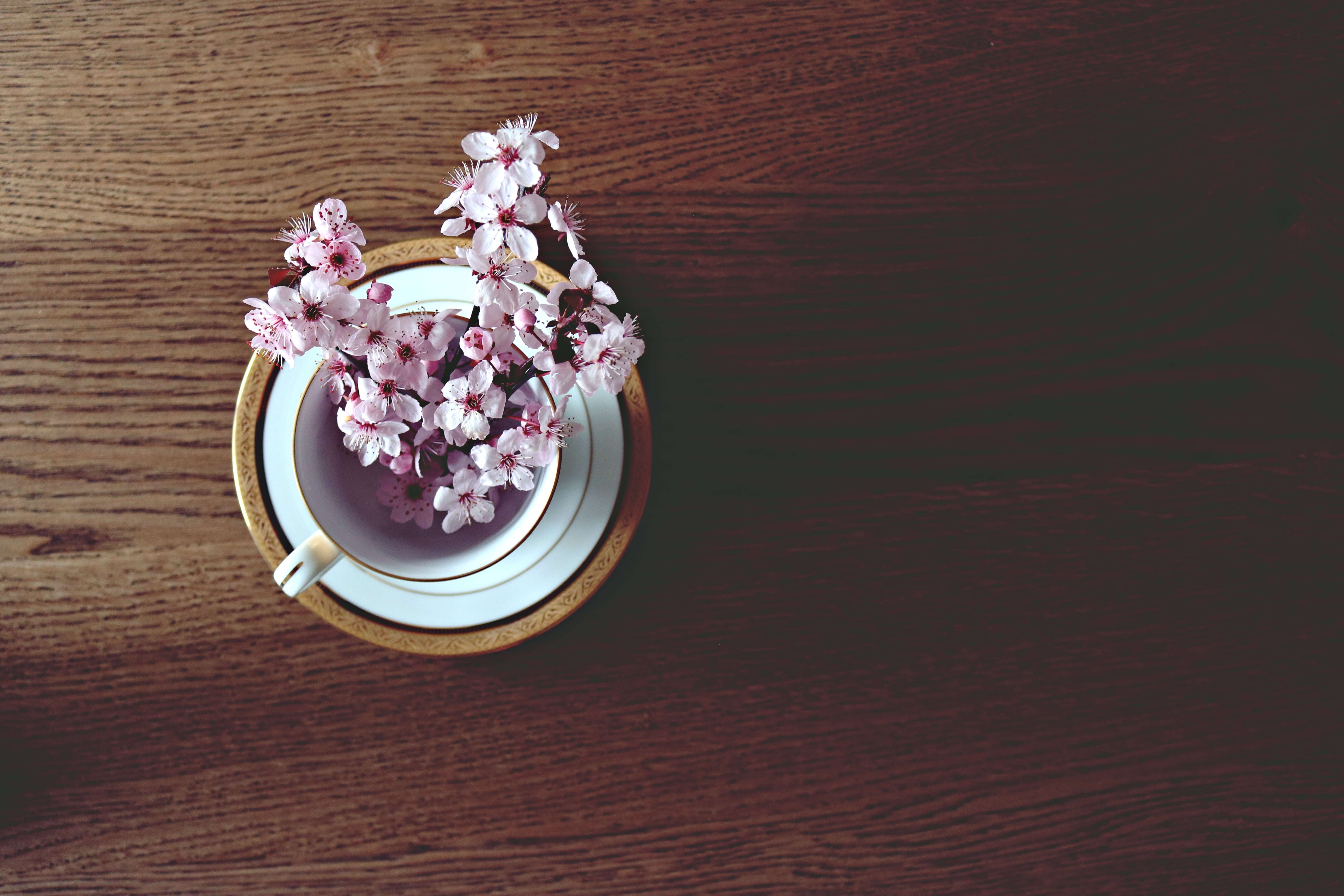 blooming, freshness, flowering plant, table, 5K, flower, food, blossom, floral, no people, colored background, garden, plant, beauty in nature, directly above, HD Wallpaper