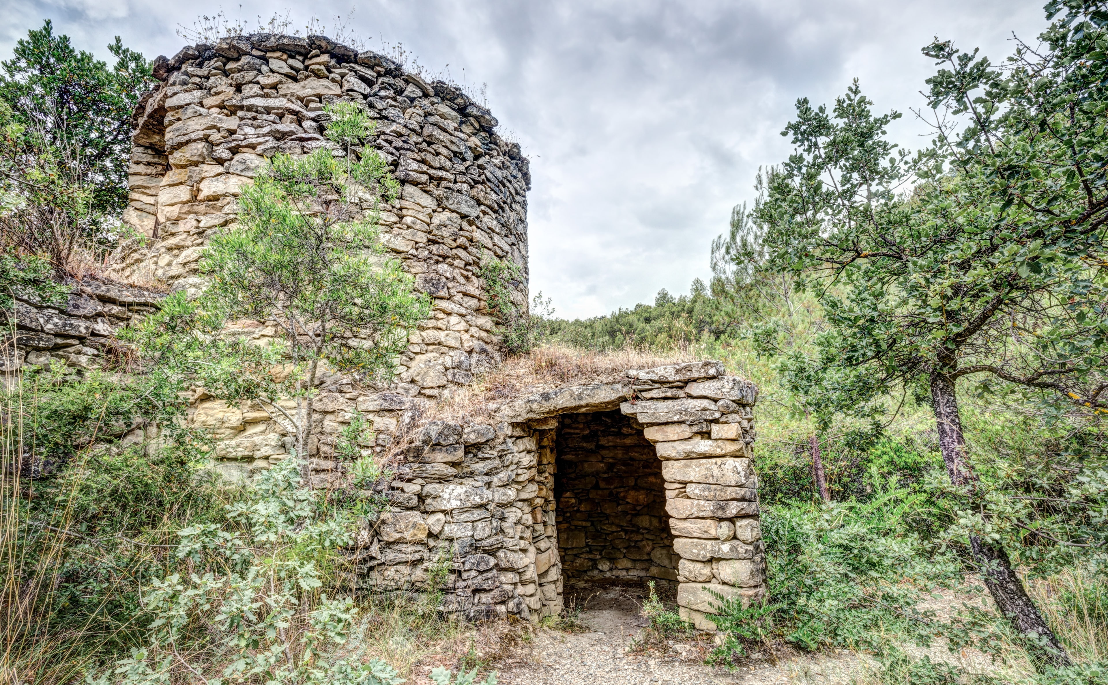 plant, architecture, wall, tines, deterioration, history, stone wall, built structure, outdoors, building exterior, solid, Spain, the past, day, cloud - sky, HD Wallpaper