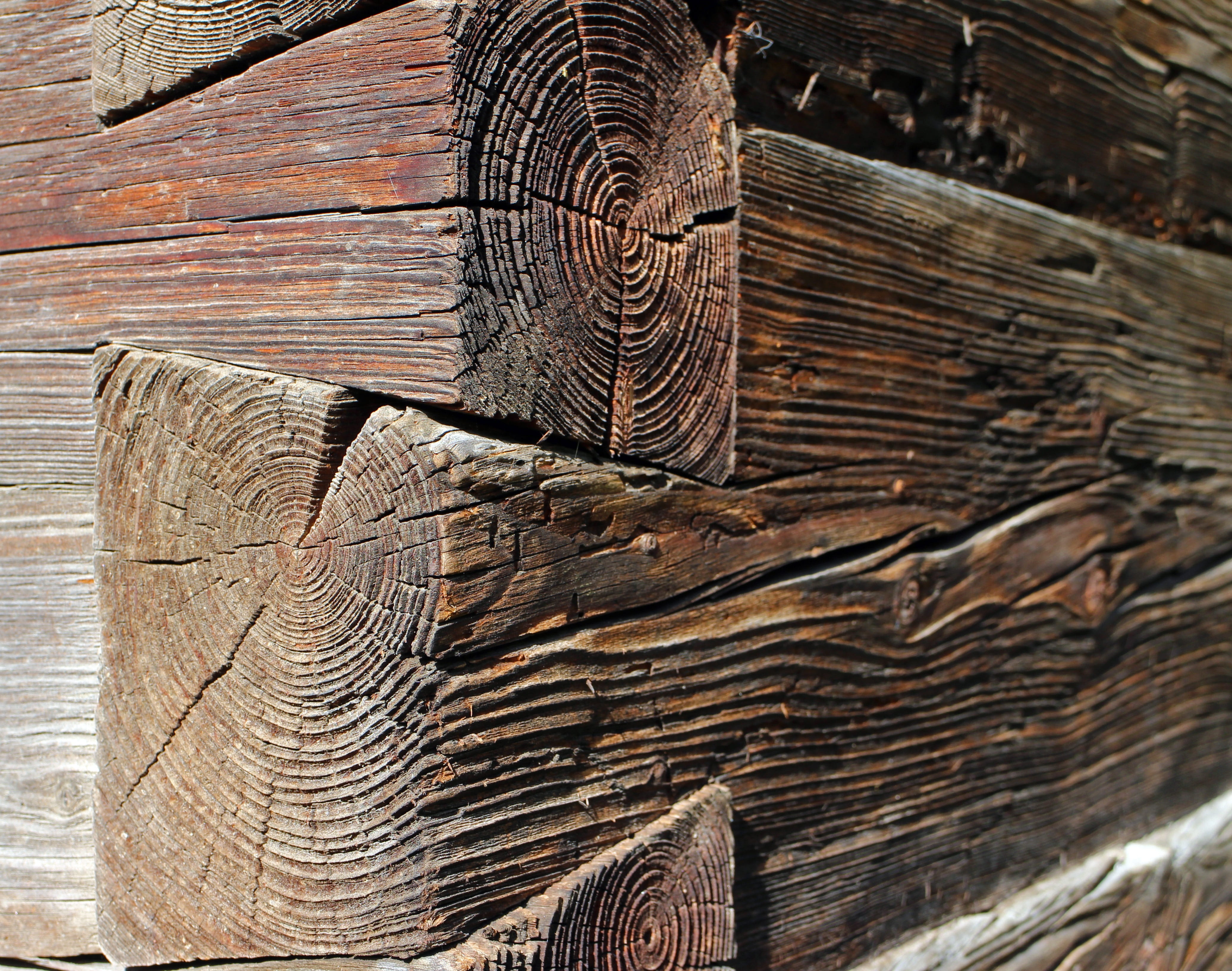 nature, ancient, old, outdoors, timber, Wood, rough, log, Background, wood grain, full frame, tree ring, close-up, brown, tine, textured, cohesion, wood - Material, HD Wallpaper