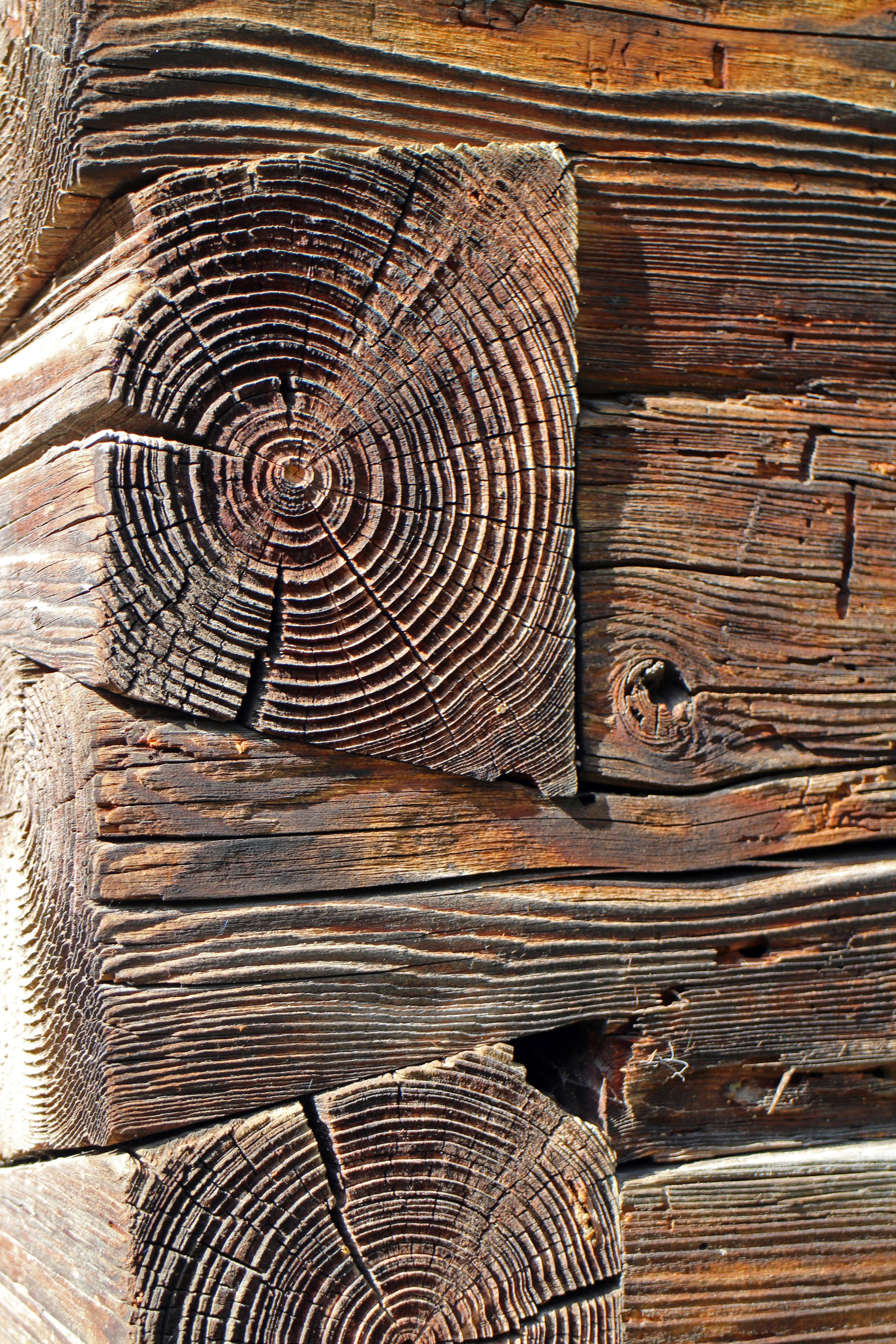 cohesion, 5K, old, zimmermann, log, close-up, full frame, tine, keep together, together, architecture, background, wood - material, built structure, no people, Phone HD Wallpaper