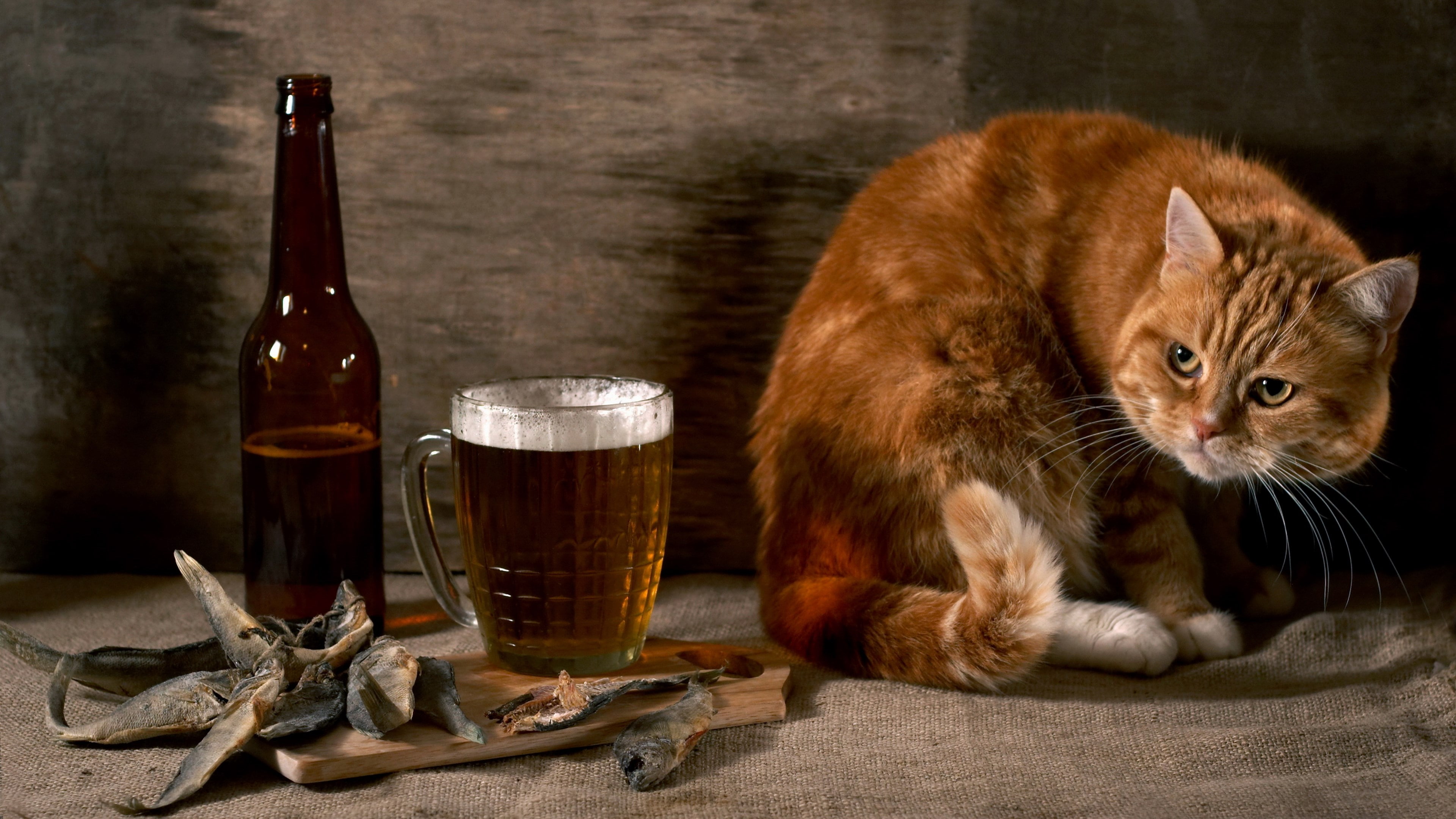 bottle, food and drink, cat image, container, alcohol, drink, animal themes, beer, no people, brown, glass, food, mammal, whiskey, whisker, drinking glass, HD Wallpaper