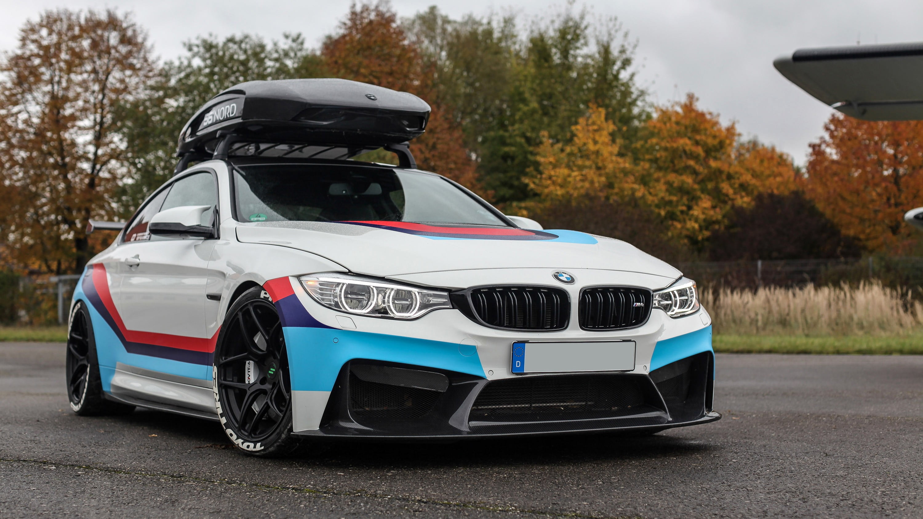 teal, stationary, BMW, car, real people, nature, tree, BMW M3 , rear view, plant, red, mode of transportation, safety, one person, coupe, 2K, outdoors, HD Wallpaper