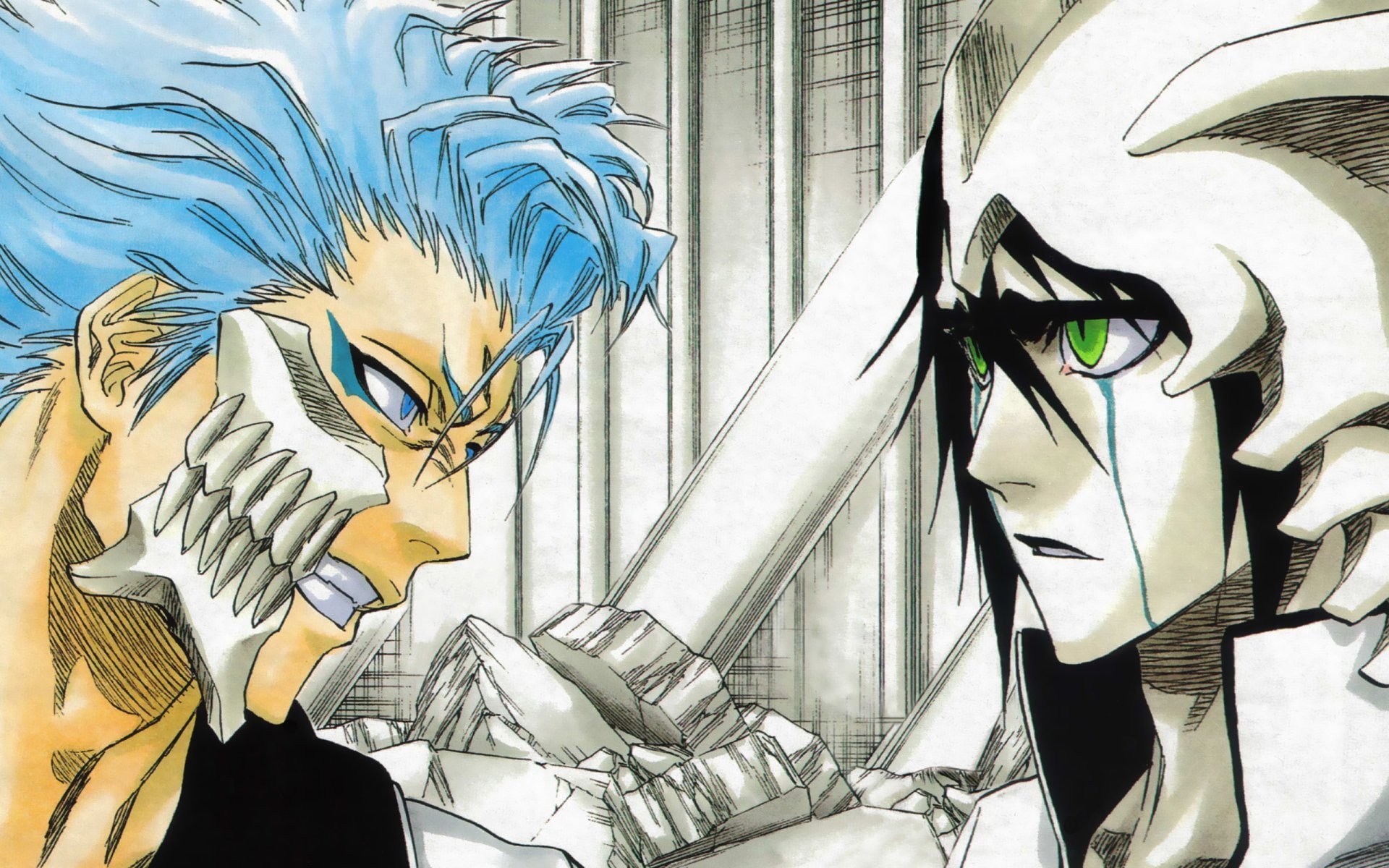 1080P, Grimmjow Jaegerjaquez, Ulquiorra Cifer, Bleach, HD Wallpaper