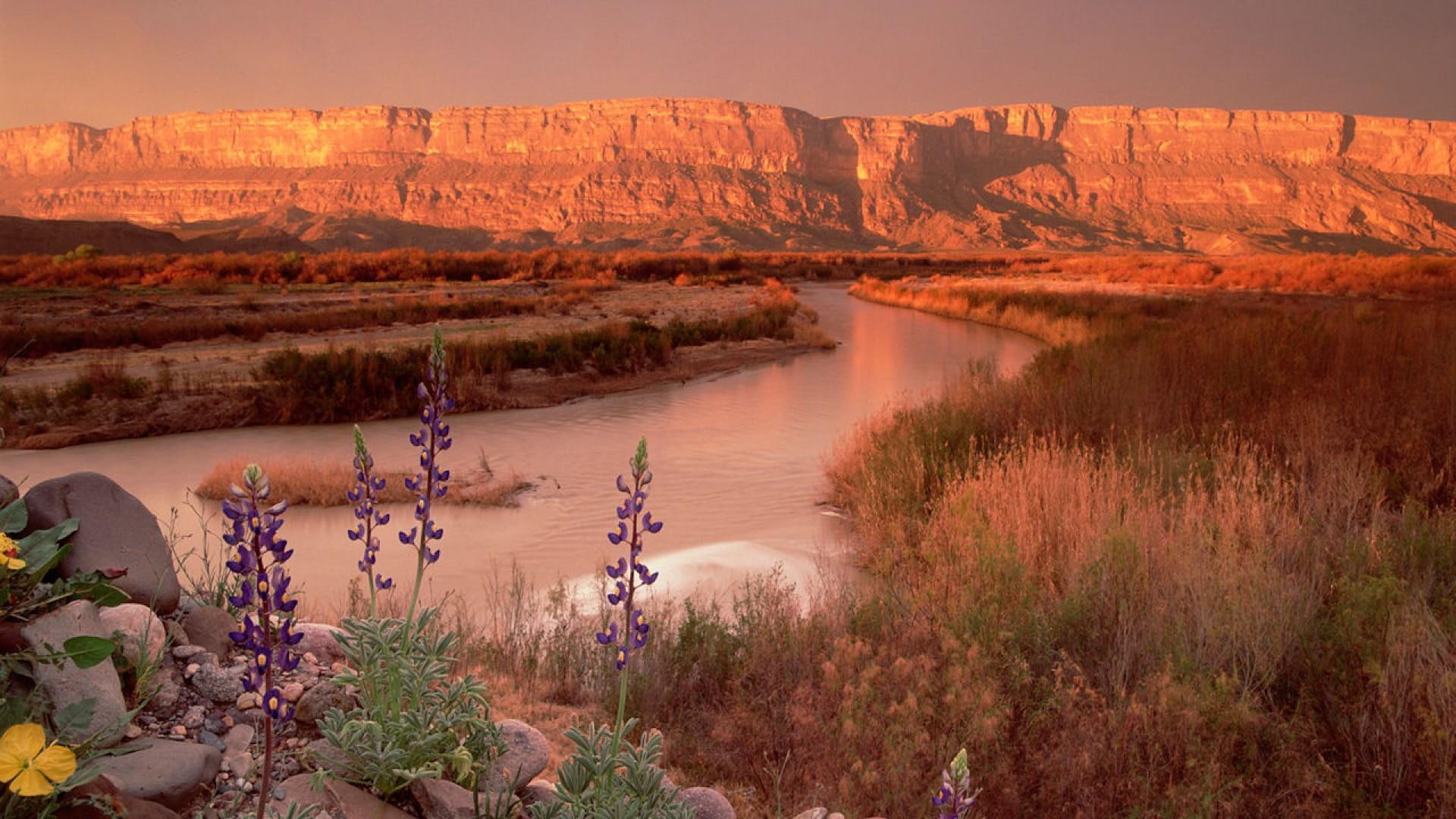 nature and landscapes, river, rio, 1080P, canyon, texas, sunset, flowers, gre, HD Wallpaper