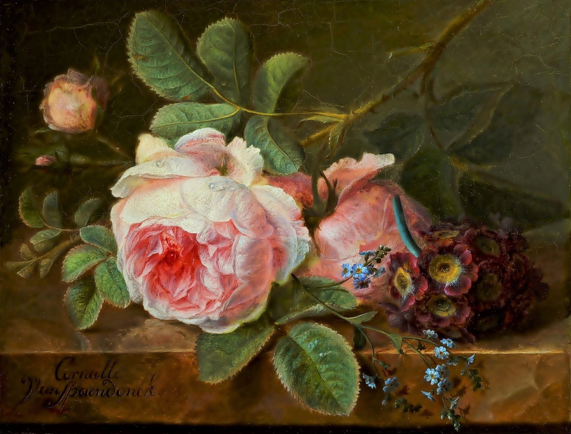 Flower, Still Life, Painting, 1080P, Rose, Artistic, Pink Rose, HD Wallpaper
