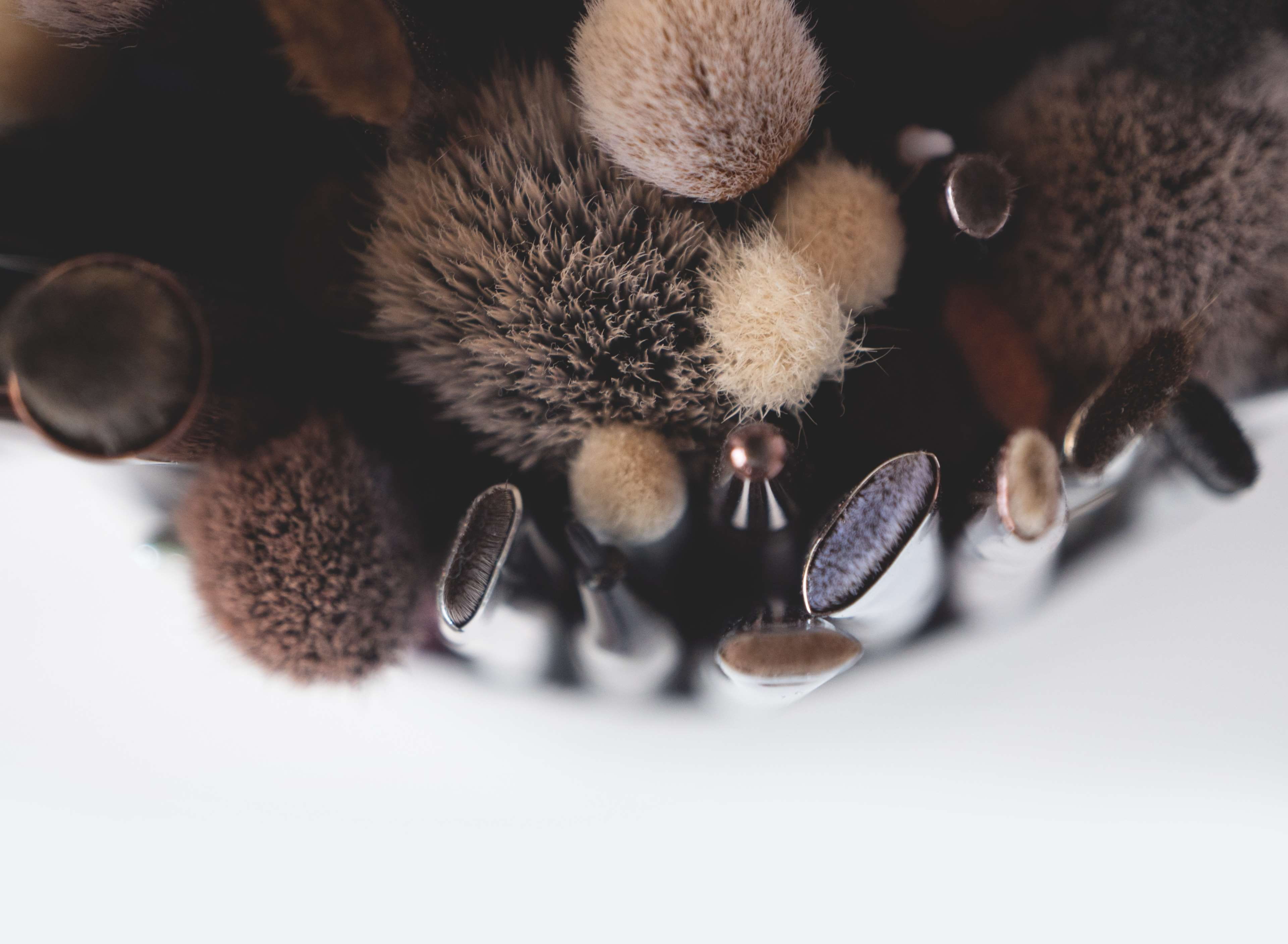 black color, care, makeup, close-up, set, brush, professional, art, domestic, tube, animal wildlife, no people, animal body part, macro, shallow, toy, animal themes, HD Wallpaper