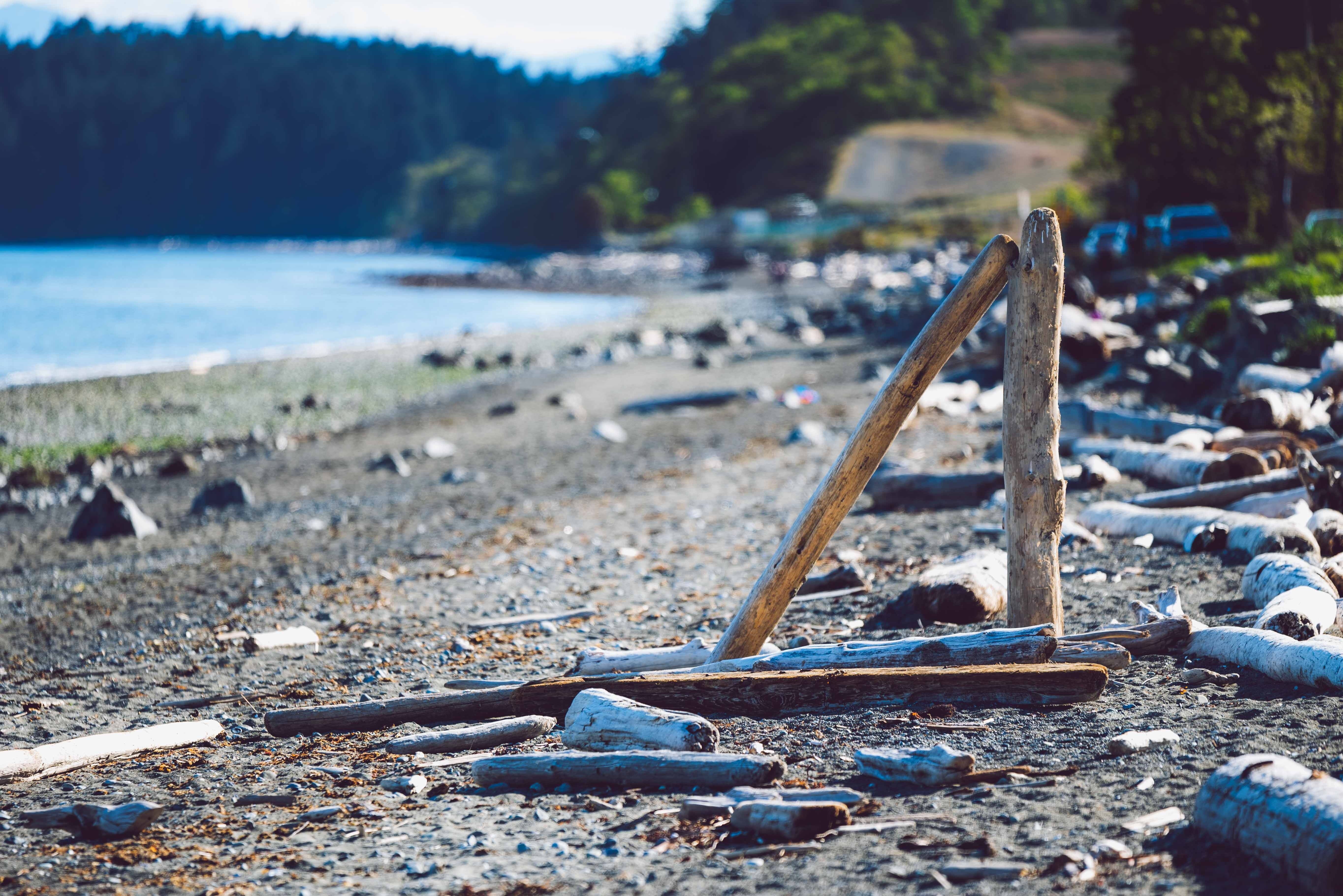 day, landscape, nature, absract, tree, focus on foreground, water, wood - material, a, beach, vancouver island, close-up, no people, 5K, pollution, wood, HD Wallpaper