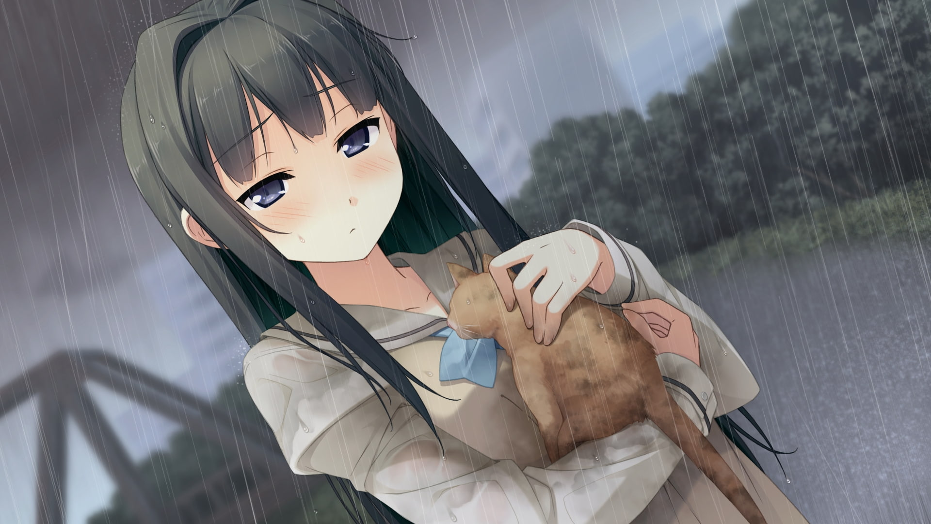 Your Diary, Blue Eyes, Ayase Sayuki, Long Hair, Black Hair, Anime, Rain, 1080P, Cat, Girl, HD Wallpaper