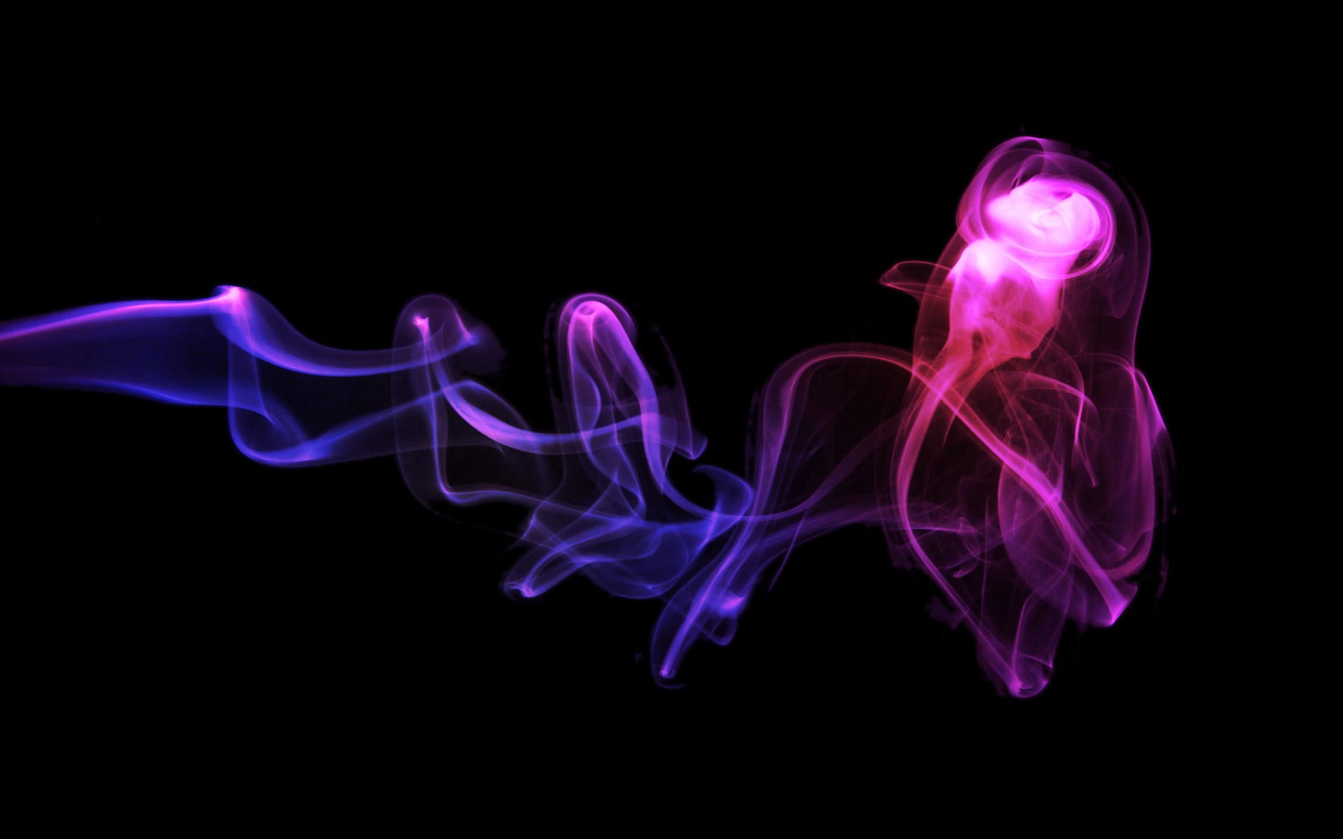 design, studio shot, black, pink color, changing form, indoors, flowing, blue, smoke, close-up, no people, 1080P, multi colored, purple, illuminated, HD Wallpaper