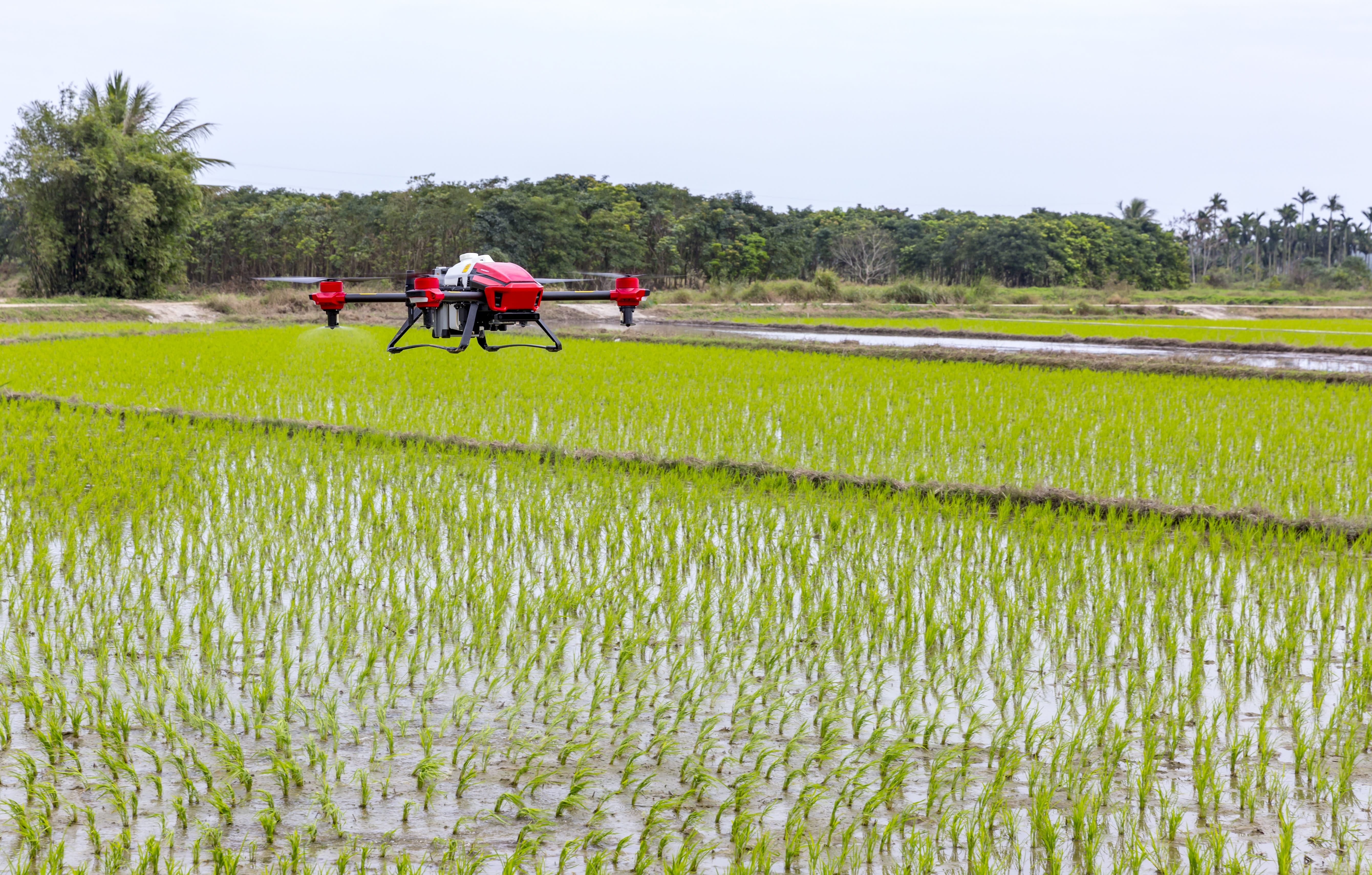 fruit trees plant protection drone, aviation of plant protection drone, outdoors, two people, innovation, transportation, landscape, tree, agriculture, HD Wallpaper