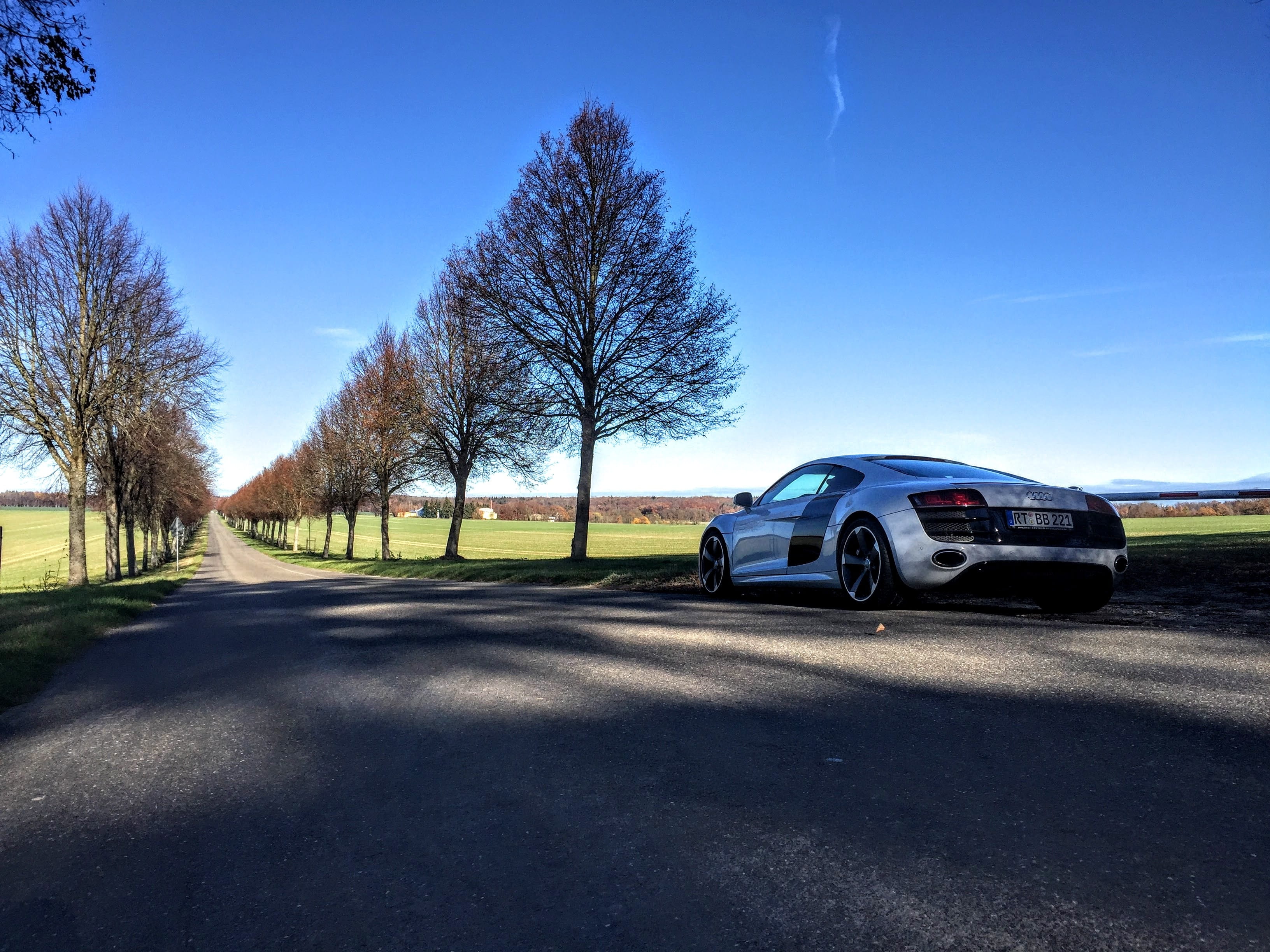 plant, motor vehicle, mode of transportation, country, environment, nature, car, land vehicle, spring, opportunity, transportation, sports car, day, shadow, HD Wallpaper