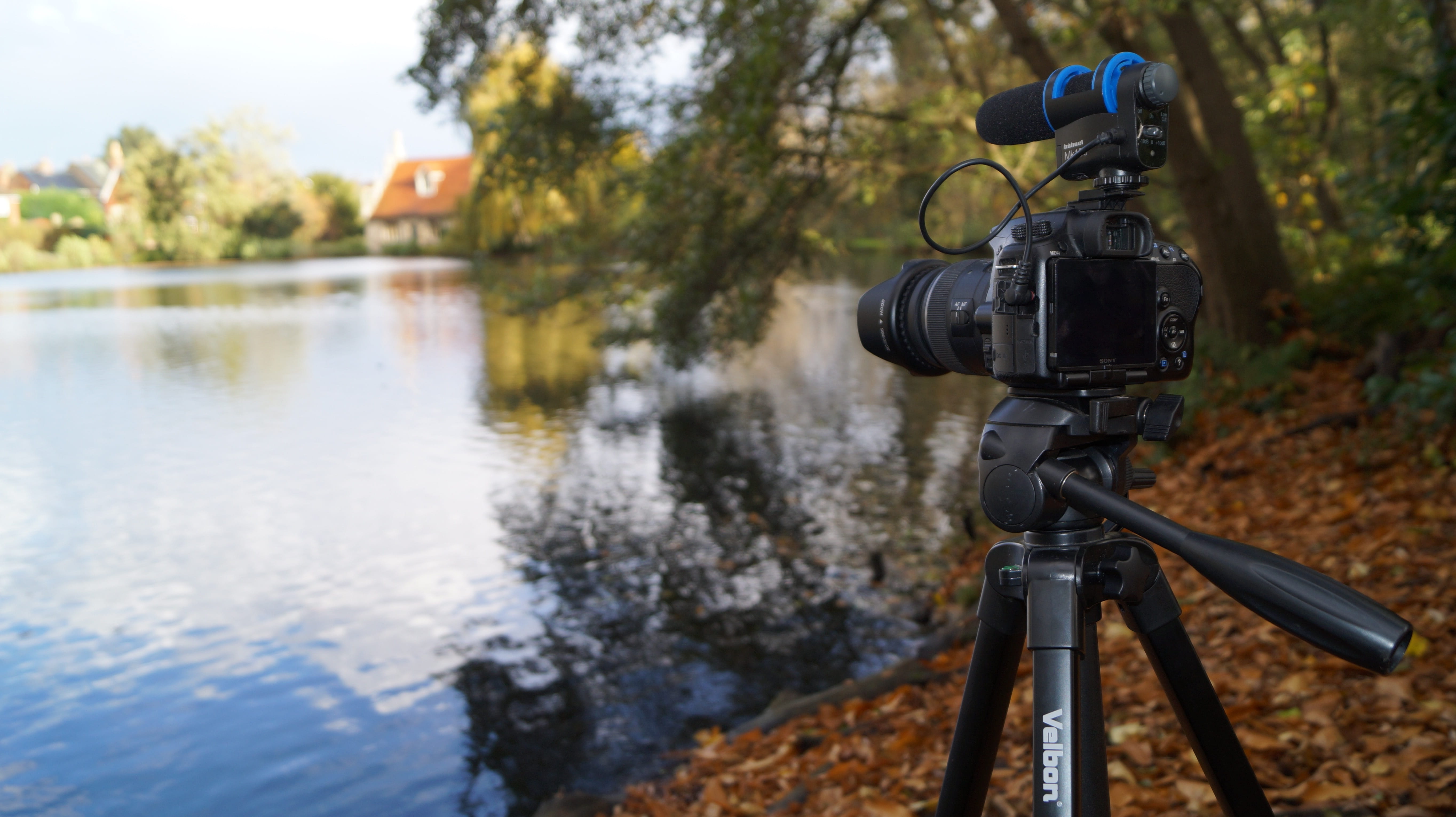 filming, dslr, tree, tripod, body, day, technology, picture, frame, film, promotional, stand, digital camera, photographing, camera - photographic equipment, HD Wallpaper