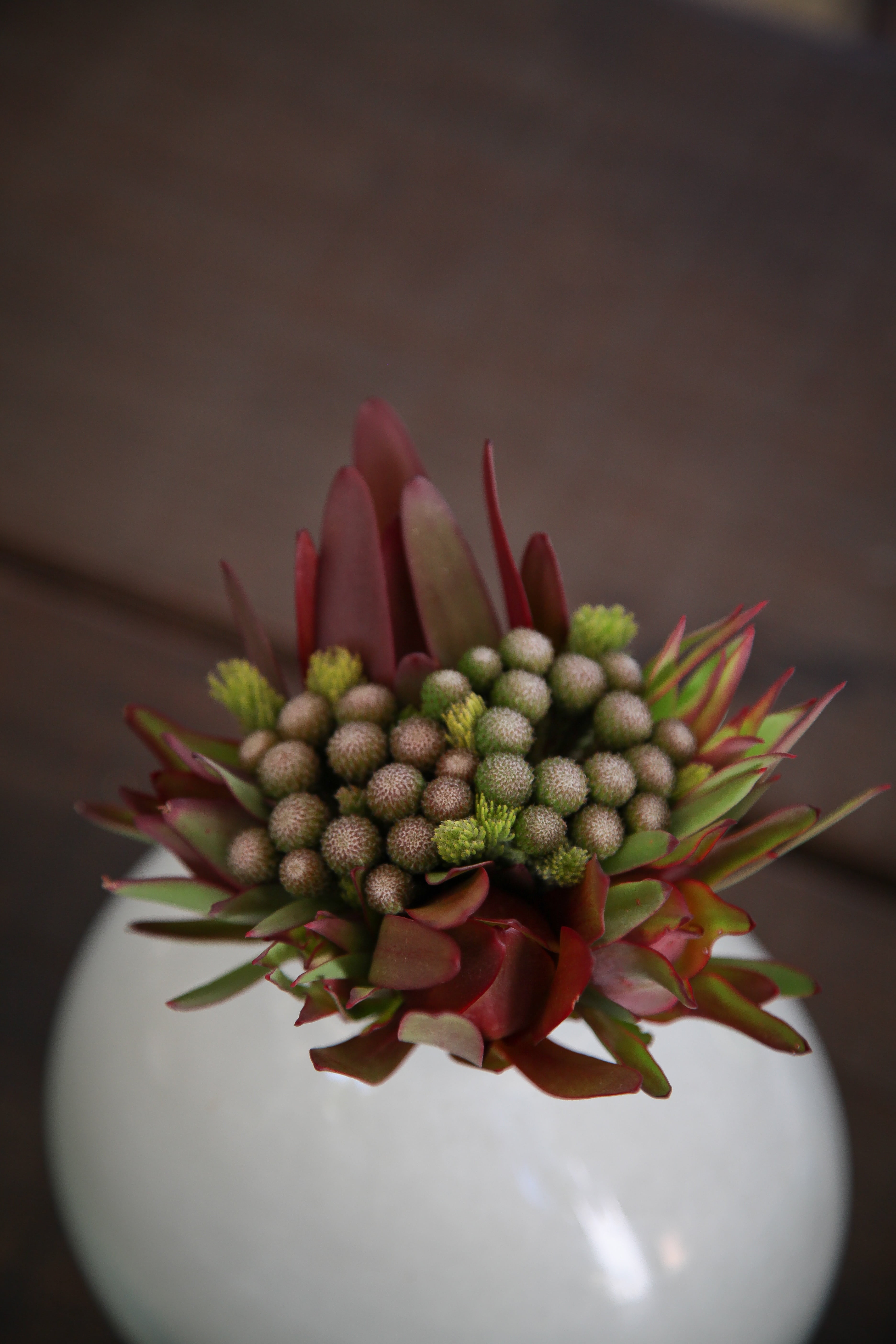 wellbeing, wedding, bunch, plant, beauty in nature, focus on foreground, flower, food and drink, green color, flowers, freshness, red, succulent plant, Phone HD Wallpaper