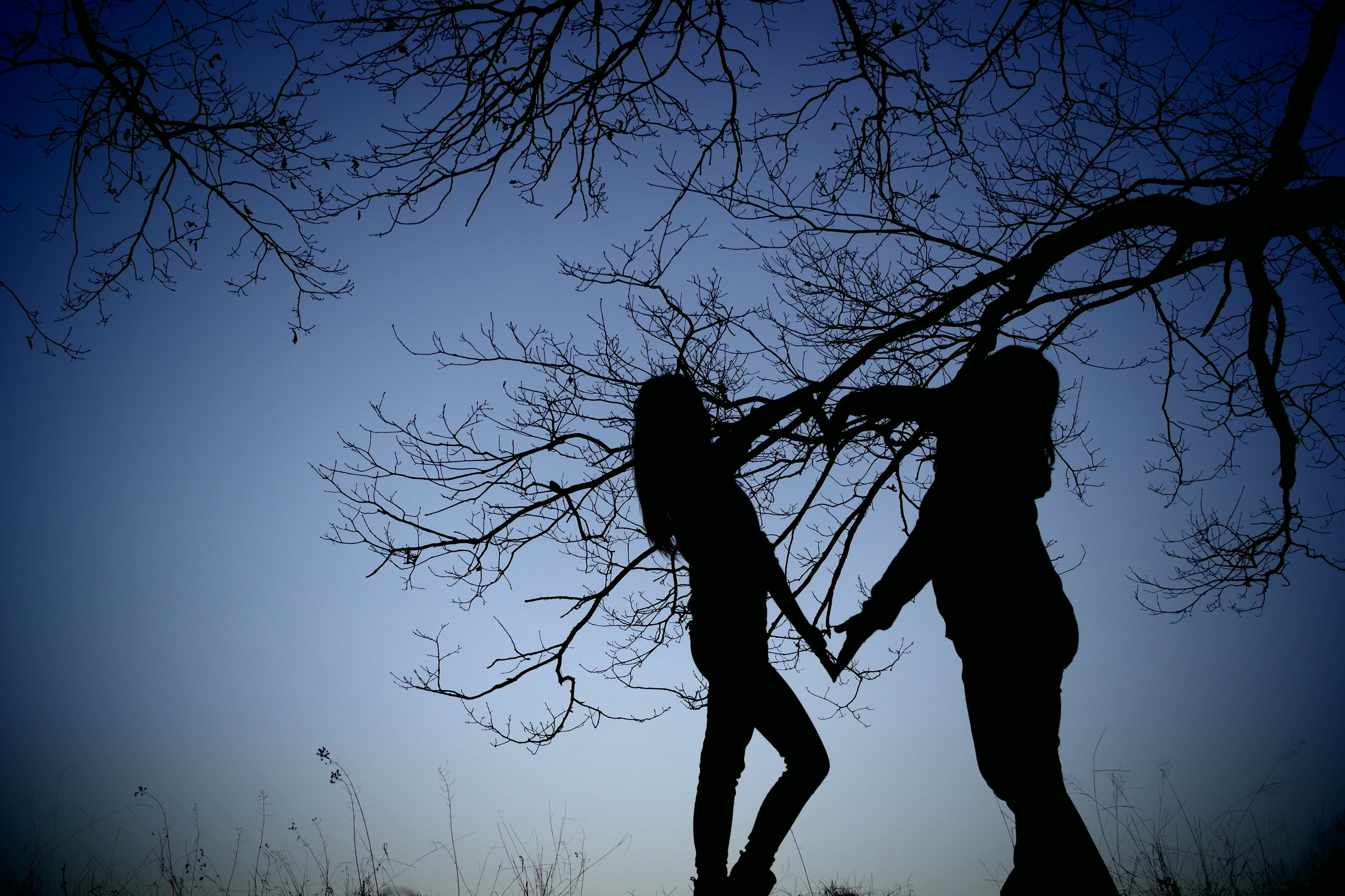 emotion, hands, trees, people, women, two people, love, standing, branch, full length, 5K, outdoors, adult, trust, lifestyles, heart, nature, land, photo, HD Wallpaper
