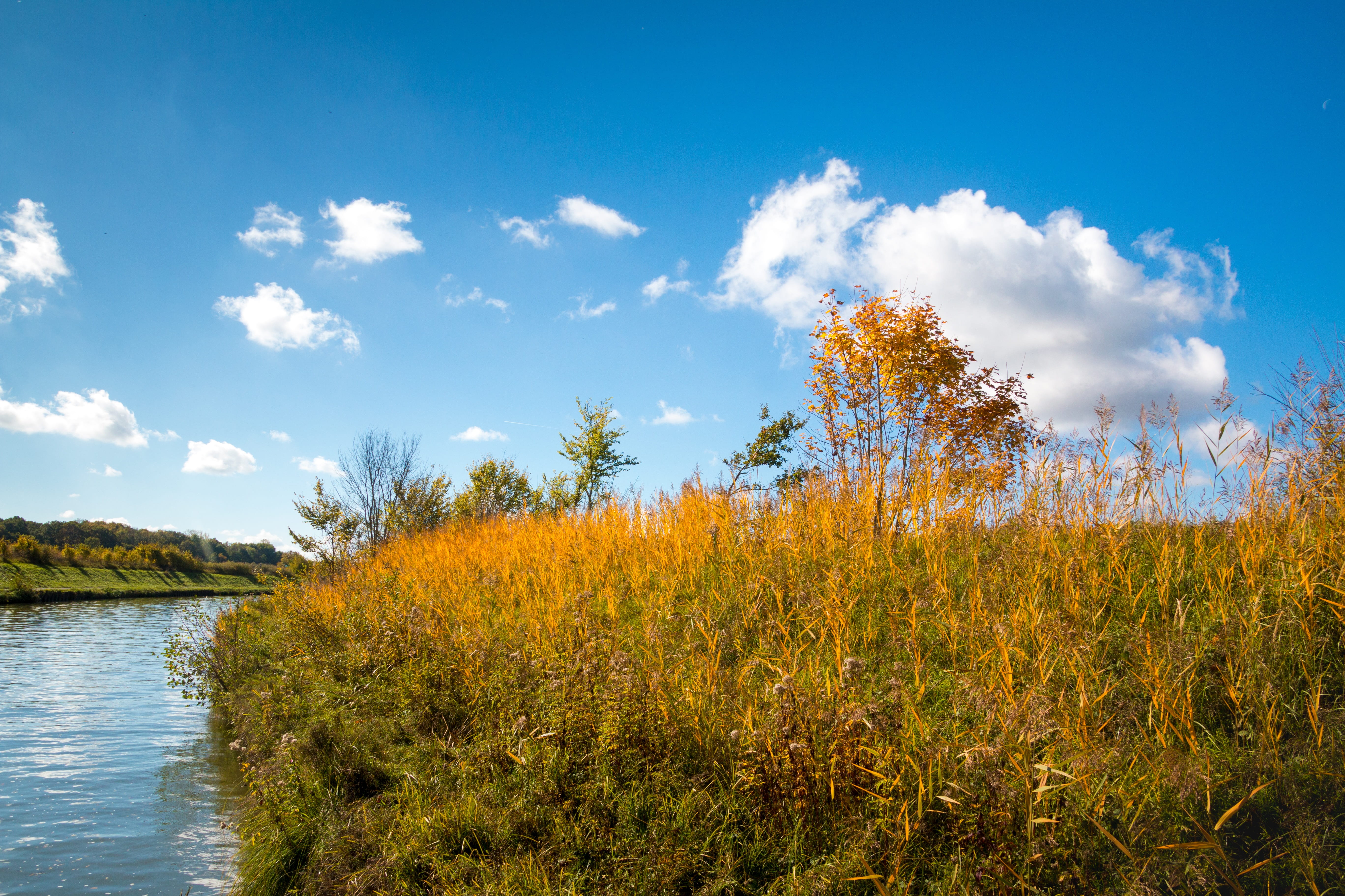 non-urban scene, beauty in nature, environment, reflections, bright, sky, river, outdoors, deciduous tree, beautiful, idyll, color, young tree, blue sky, HD Wallpaper