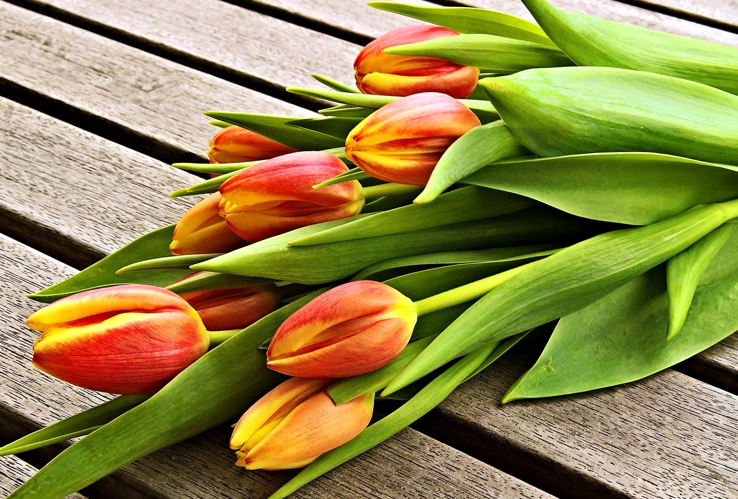 flower Head, leaf, petal, gift, food and drink, beauty in nature, planks, nature, brown, bouquet, spring greetings, 2K, thanks to smaller, food, day, cut flowers, HD Wallpaper