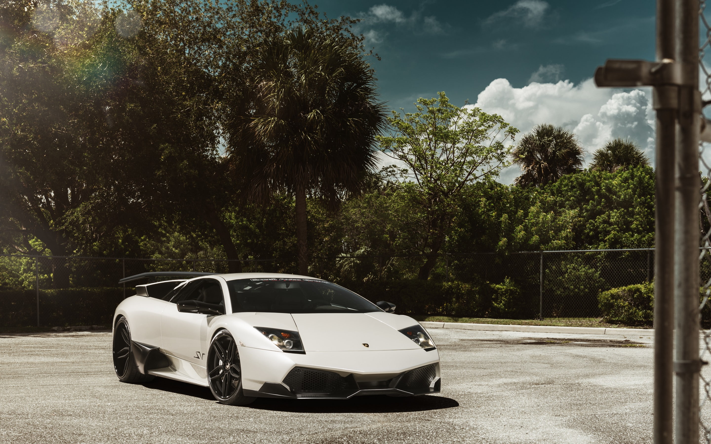 Lamborghini, car, picture, Murcielago, HD Dekstop, download, 2K, Pc, Image, white, HD Wallpaper