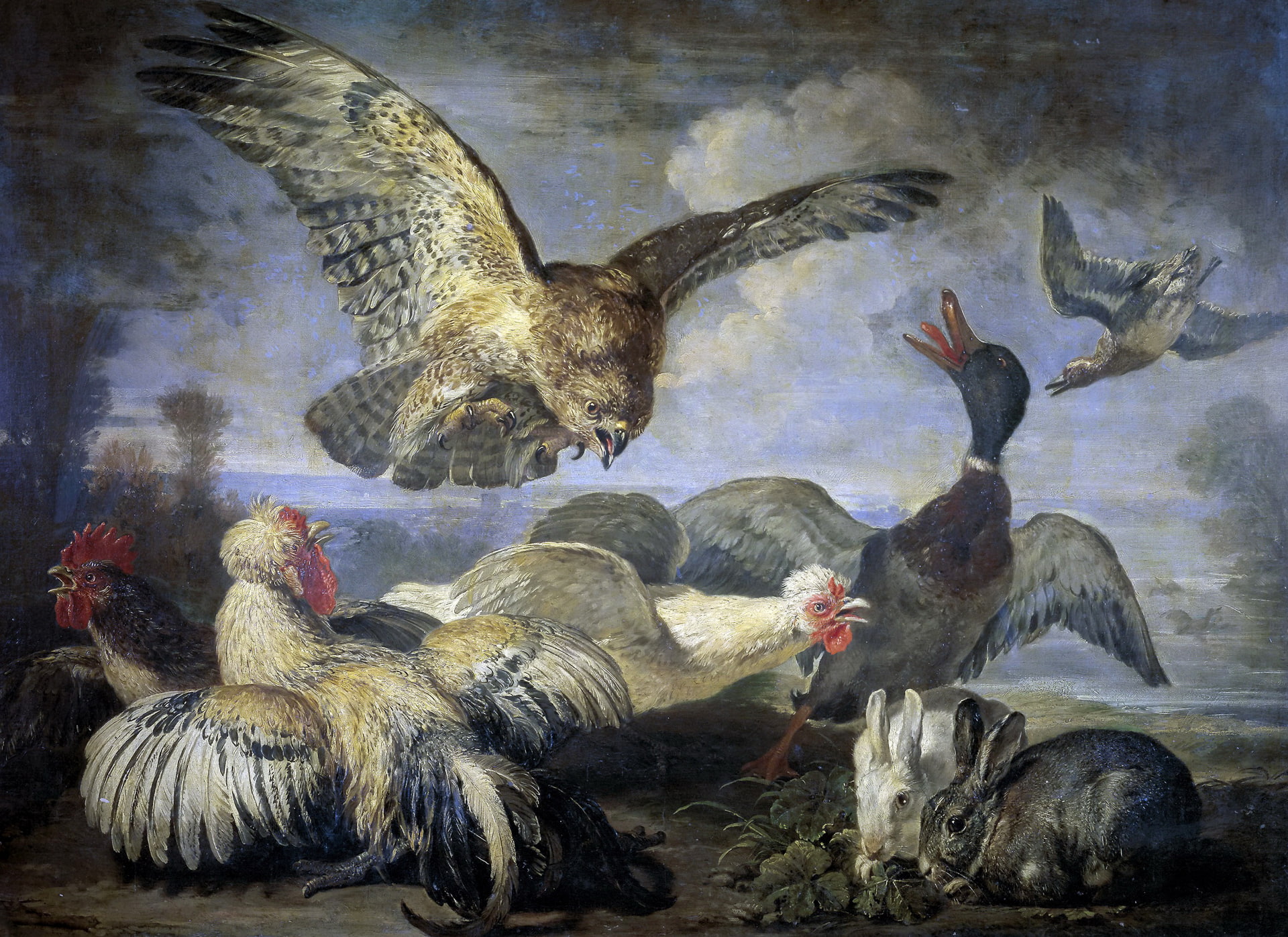 rabbit, chickens, picture, birds, David Koninck, 1080P, duck, animals, Attack Of The Kite, HD Wallpaper
