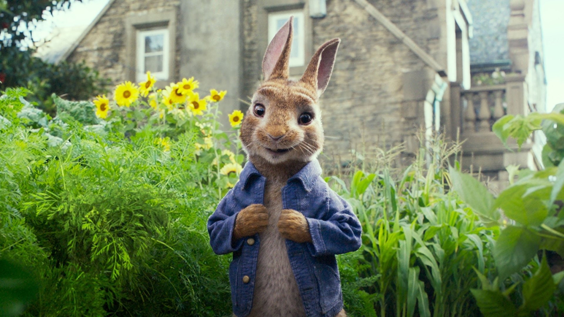 1080P, Movie, Peter Rabbit, HD Wallpaper