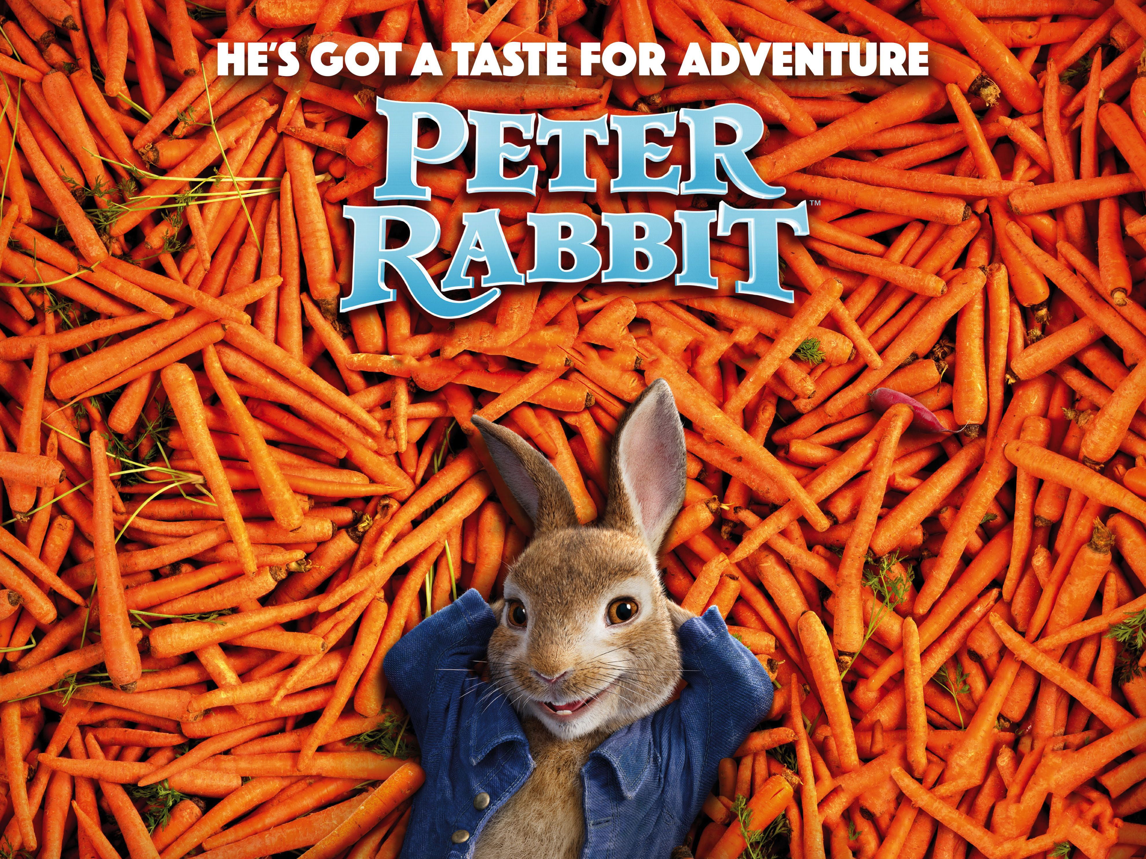 high angle view, no people, pets, food and drink, peter rabbit, text, western script, animal wildlife, close-up, 4K, communication, animated movies, one animal, HD Wallpaper