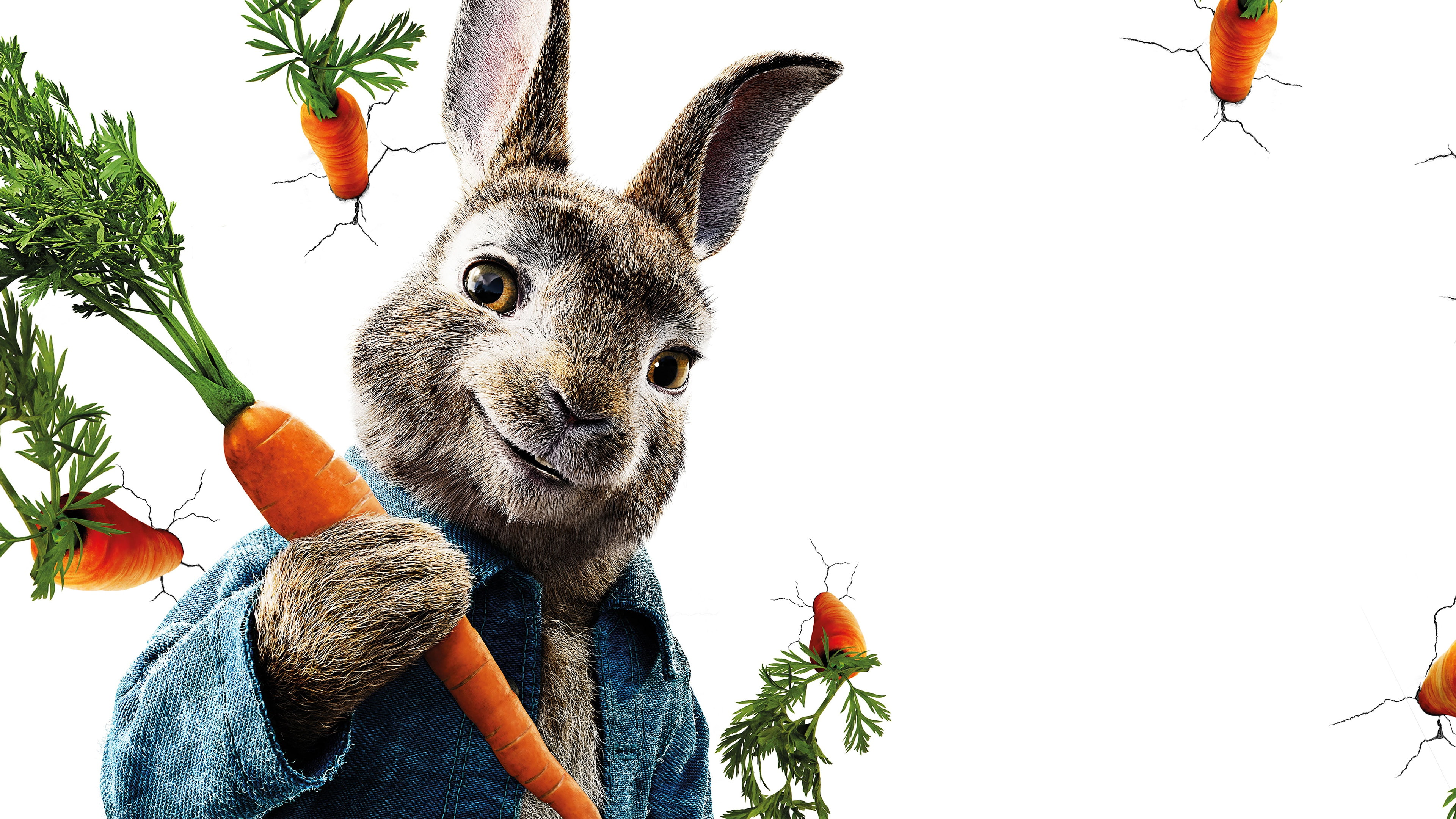 4K, carrot, peter, rabbit, HD Wallpaper