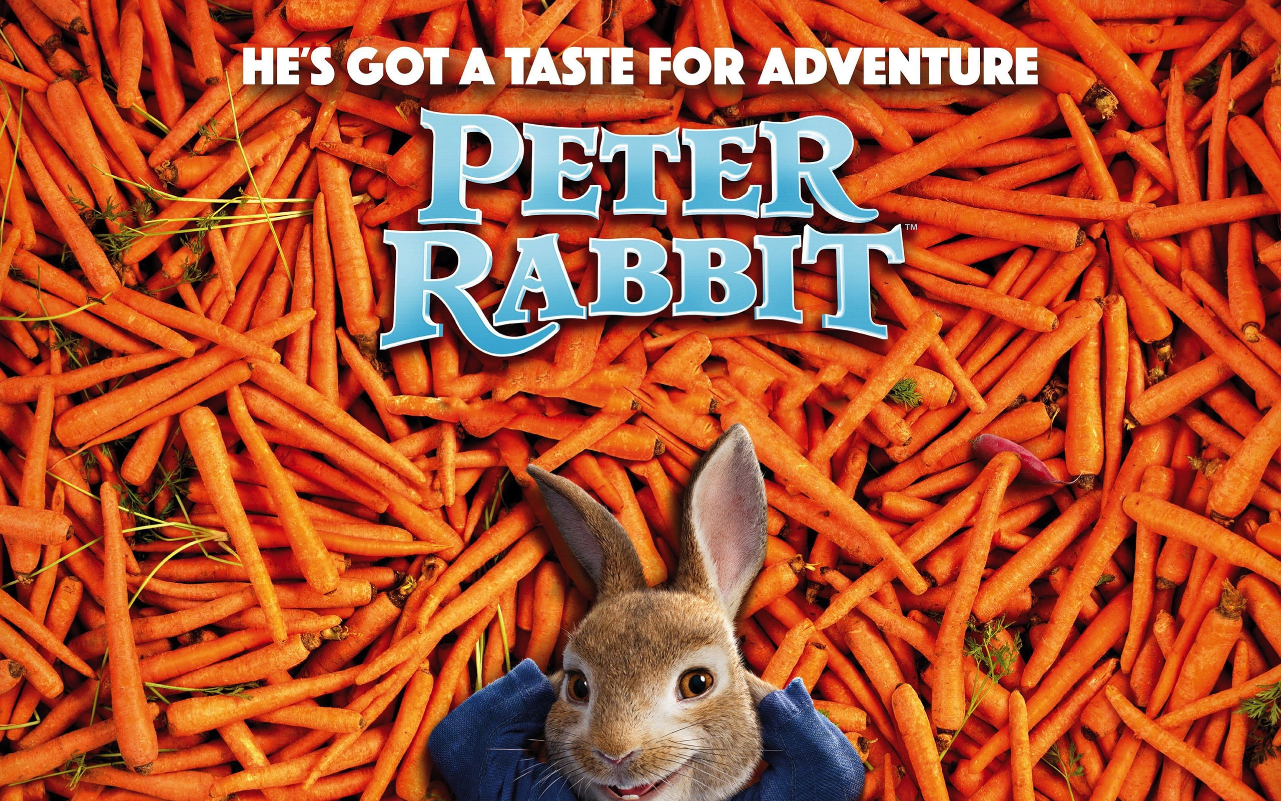animal head, communication, hd, carrot, western script, large group of objects, rabbit, movies, peter, domestic animals, close-up, text, no people, HD Wallpaper