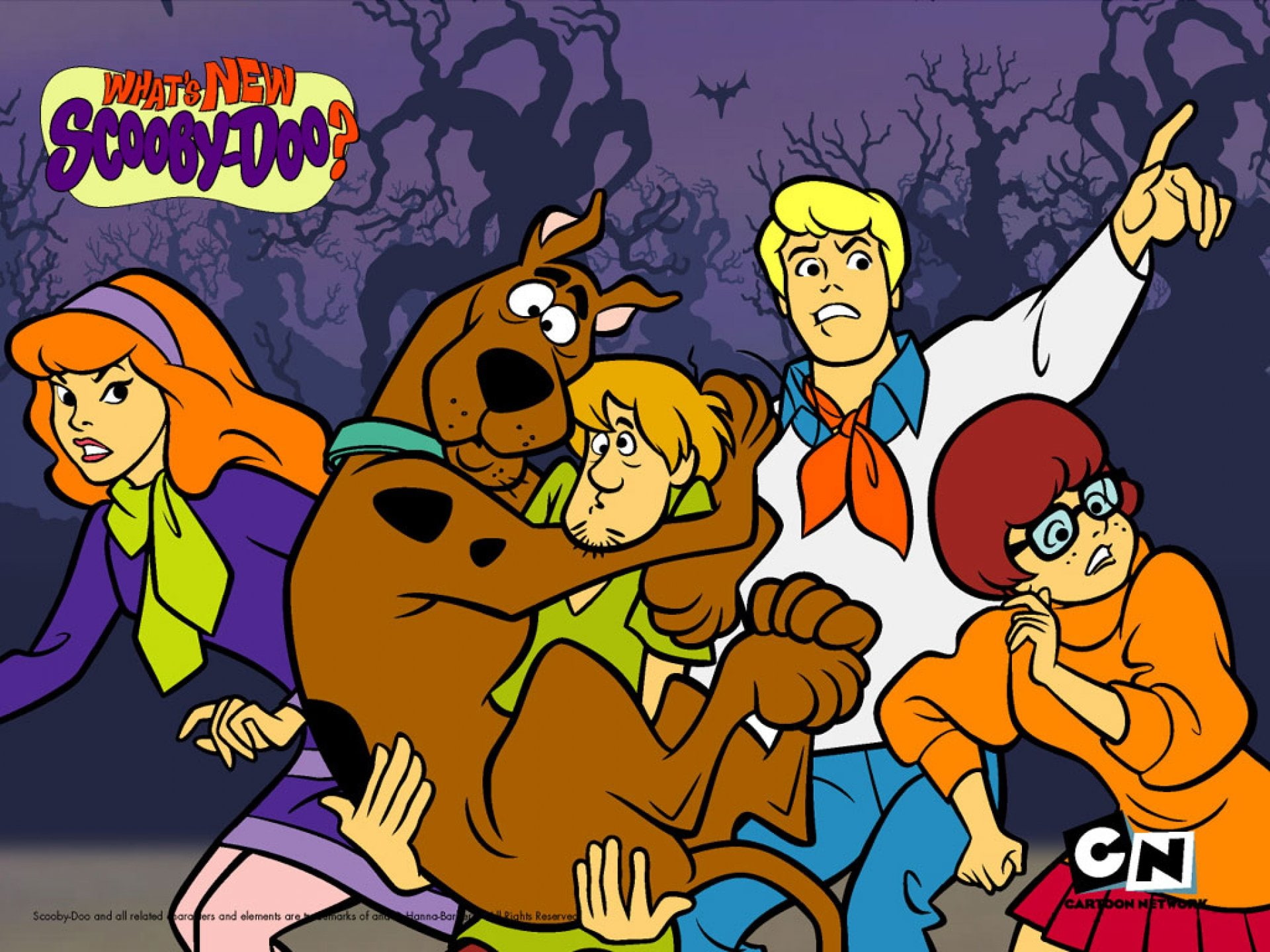 1080P, scooby, doo, comedy, cartoon, family, adventure, HD Wallpaper