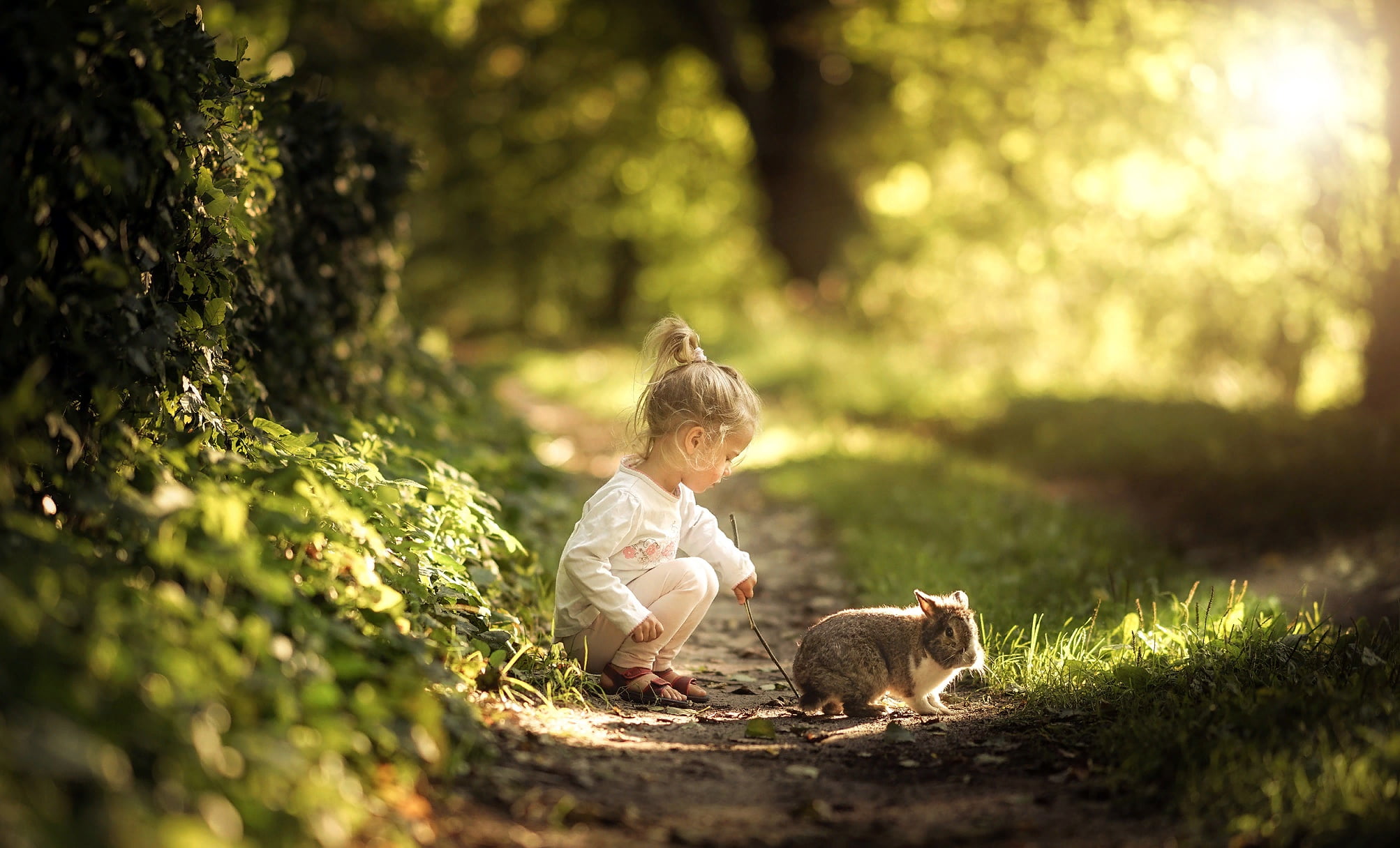 girl, summer, path, 1080P, animal, nature, baby, rabbit, Radoslaw Dranikowski, child, grass, HD Wallpaper