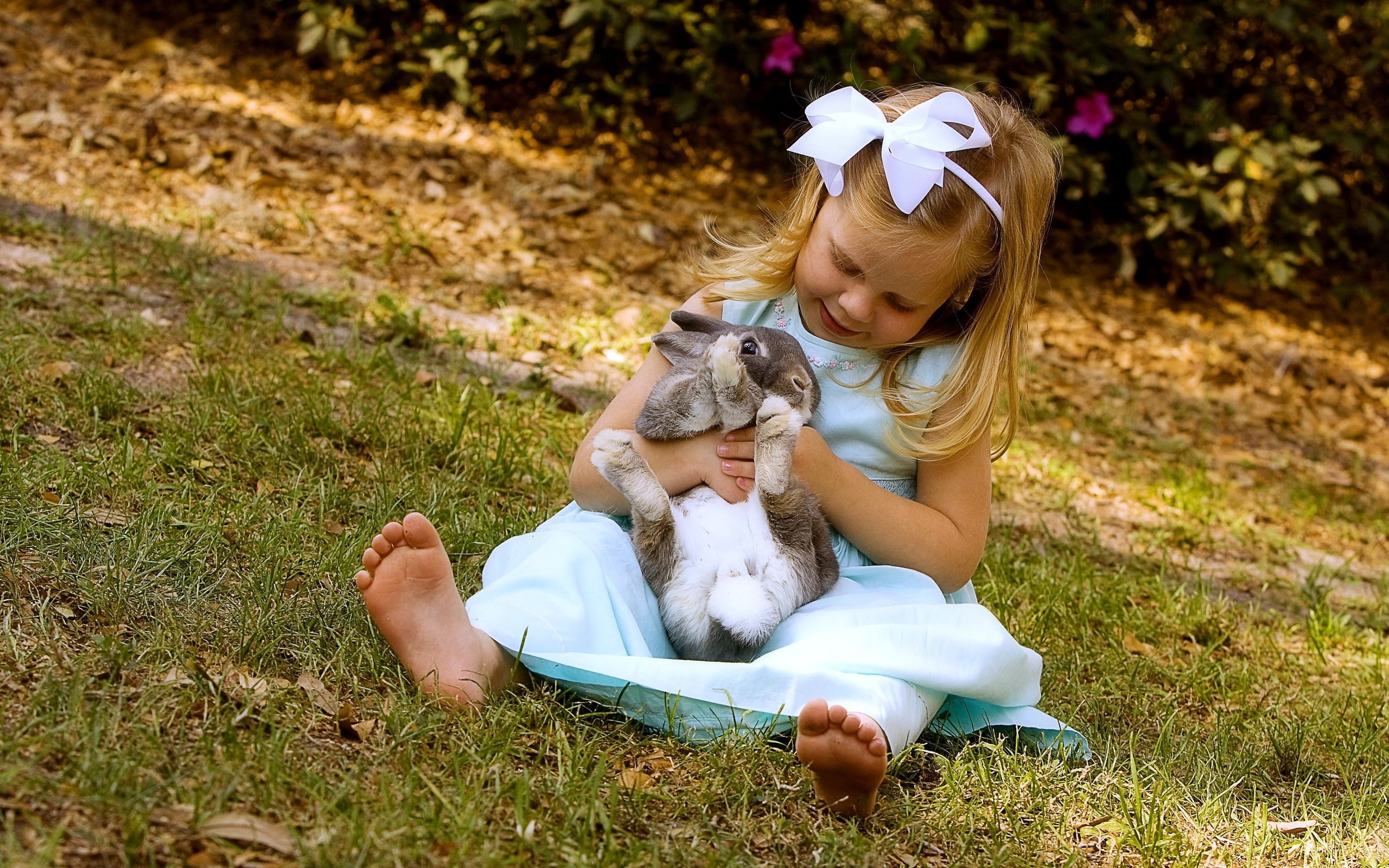 grass, friendship, domestic, women, day, outdoors, girl, mammal, one animal, real people, childhood, canine, grassland, playing, pet owner, domestic animals, HD Wallpaper