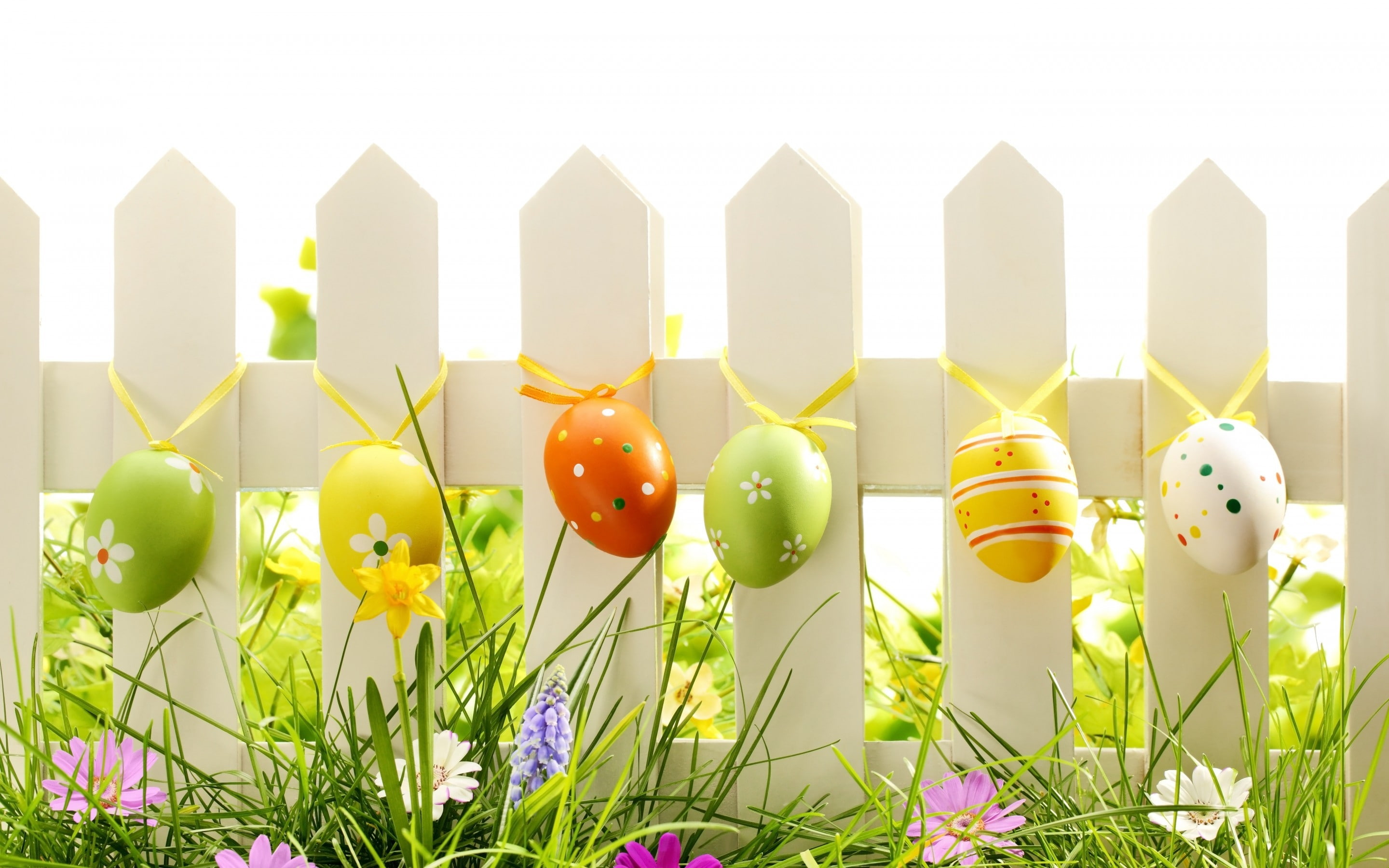 easter eggs, eggs, decoration, lovely, 2K, easter, HD Wallpaper