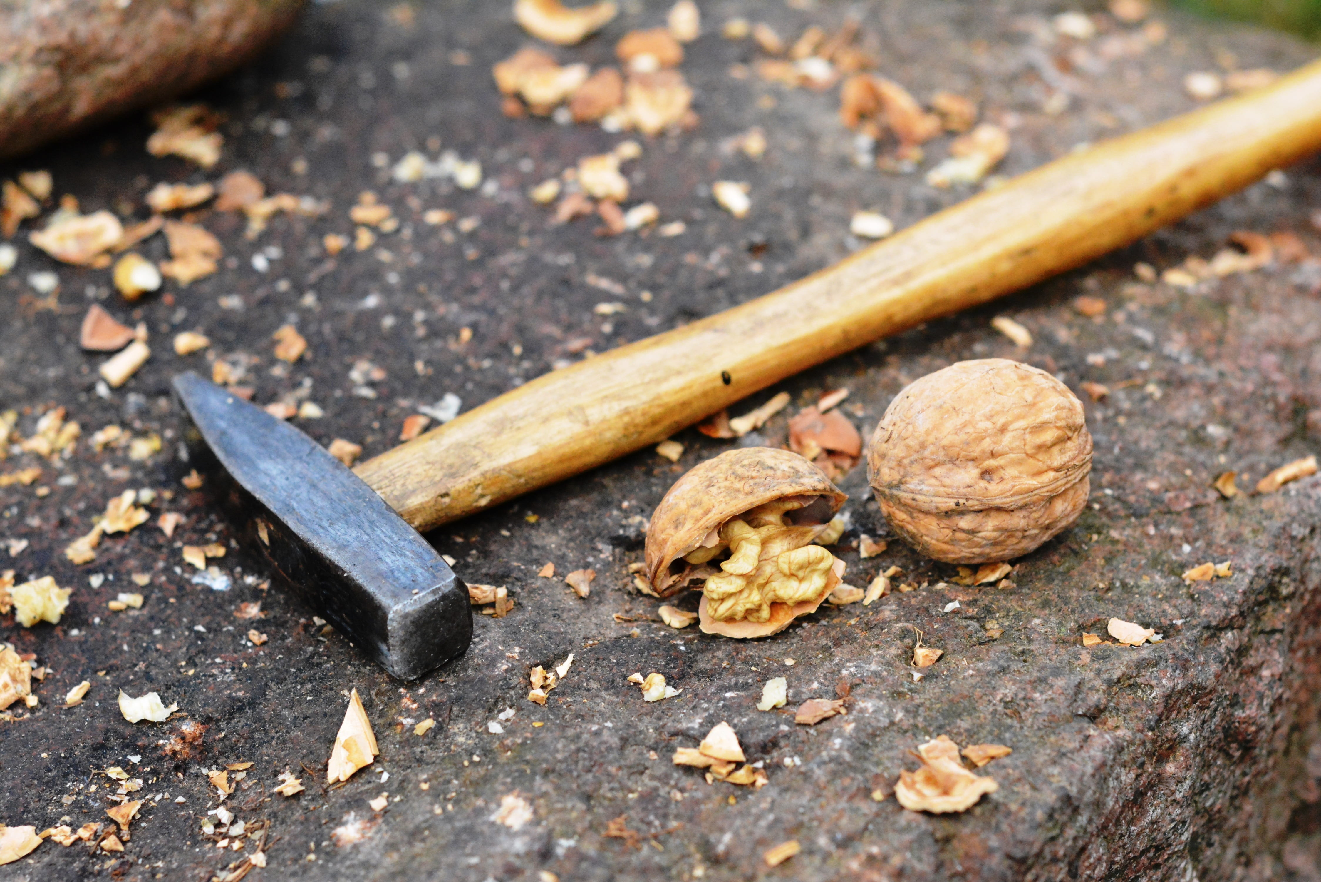 shelling, food, brown, still life, healthy eating, nuts, nut, selective focus, day, freshness, smash, no people, peening, plant part, 4K, food and drink, HD Wallpaper