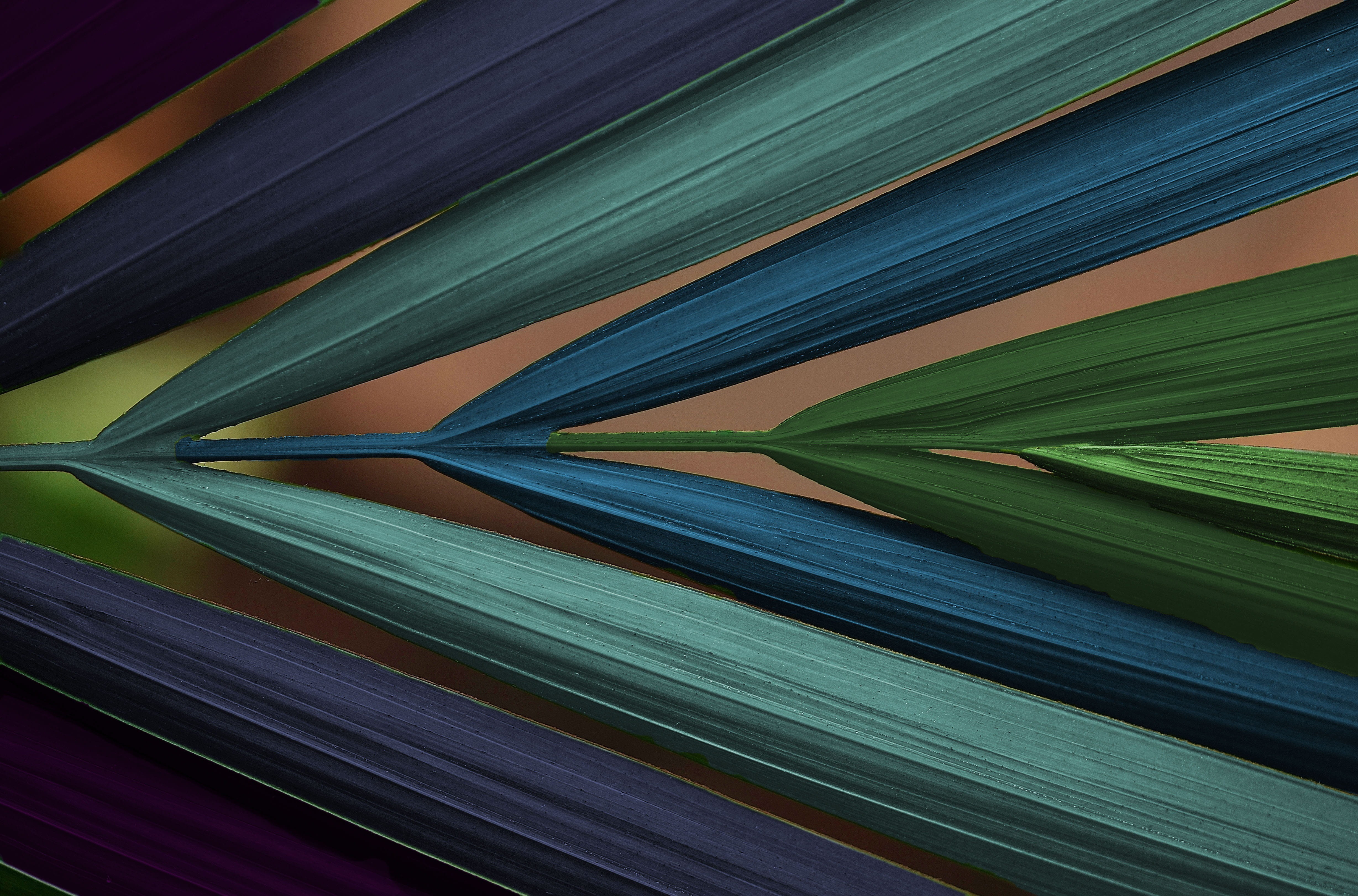 green color, directly below, still life, textile, striped, no people, leaves, blue, abstract, pattern, day, nature, large group of objects, creativity, HD Wallpaper
