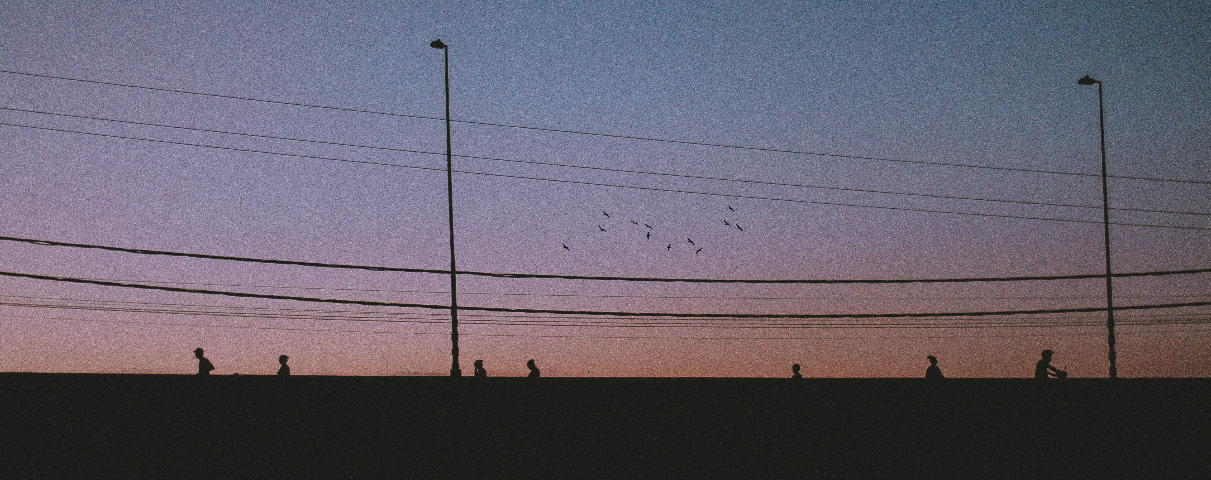 real people, land, vertebrate, people, power line, beauty in nature, nature, clear sky, person, sky, cable, color, sunset, men, electricity, silhouette, HD Wallpaper