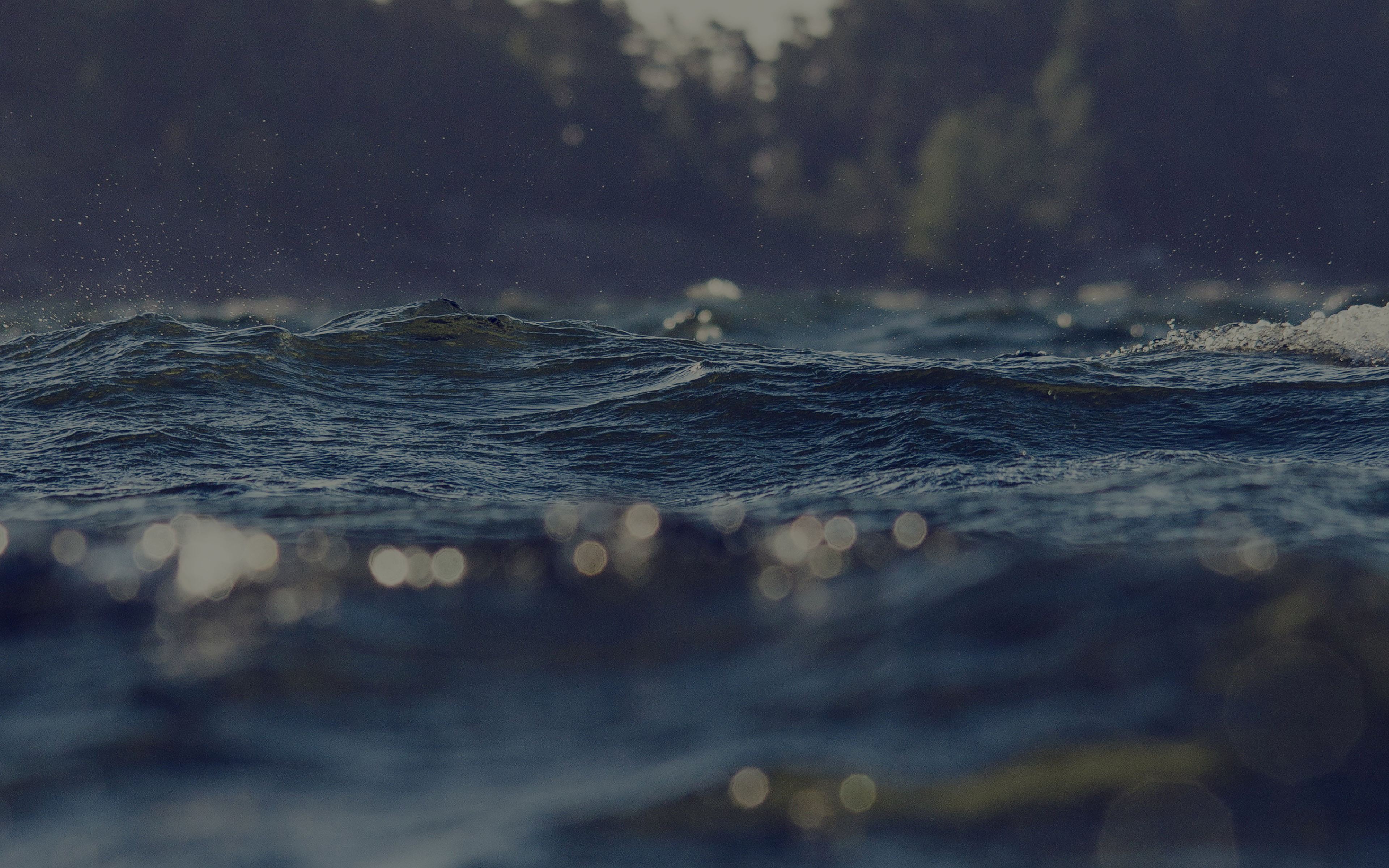 water, beach, scenics - nature, 4K, motion, tranquil scene, green, tranquility, aquatic sport, drowning, nature, land, lake, night, sea, wave, marine, HD Wallpaper