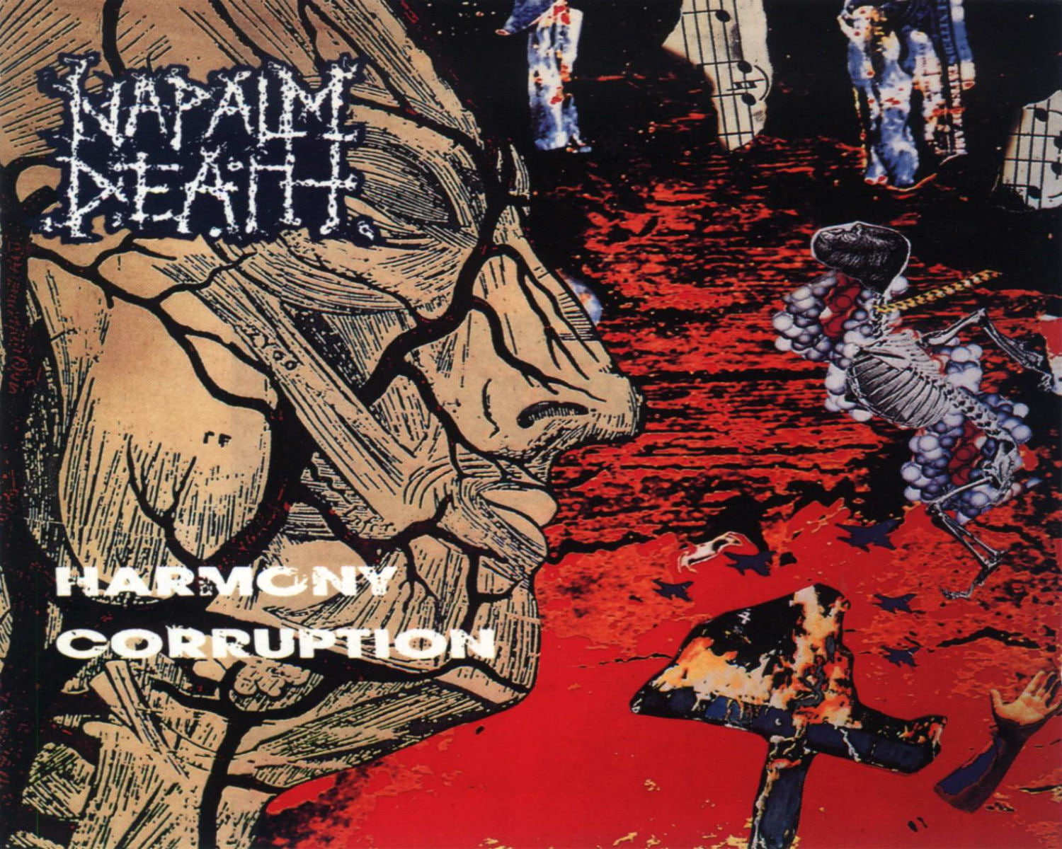 cover, thrash, heavy, napalm, death, 720P, metal, HD Wallpaper