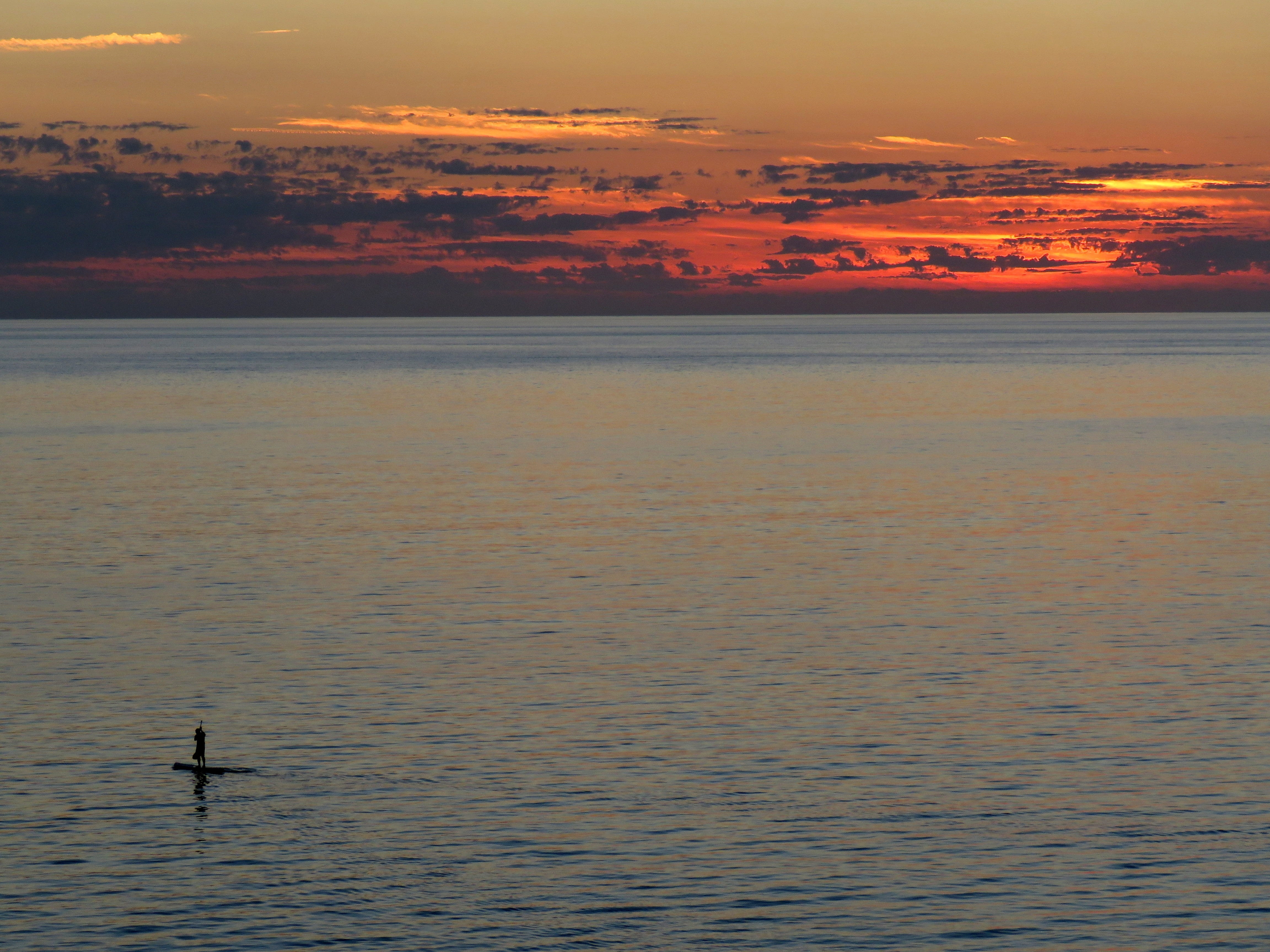 bird, sunset, animal, loneliness, scenics - nature, water, sky, tranquility, surfing, cloud - sky, orange color, vertebrate, outdoors, the atlantic ocean, HD Wallpaper