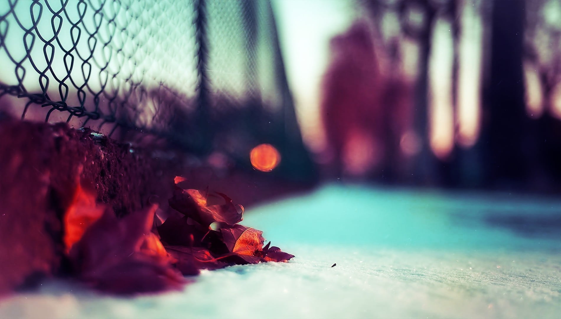 selective focus, dry, leaves, brown, close-up, people, focus on foreground, red, fence, 720P, outdoors, urban Scene, recreational Pursuit, danger, cold - Temperature, HD Wallpaper