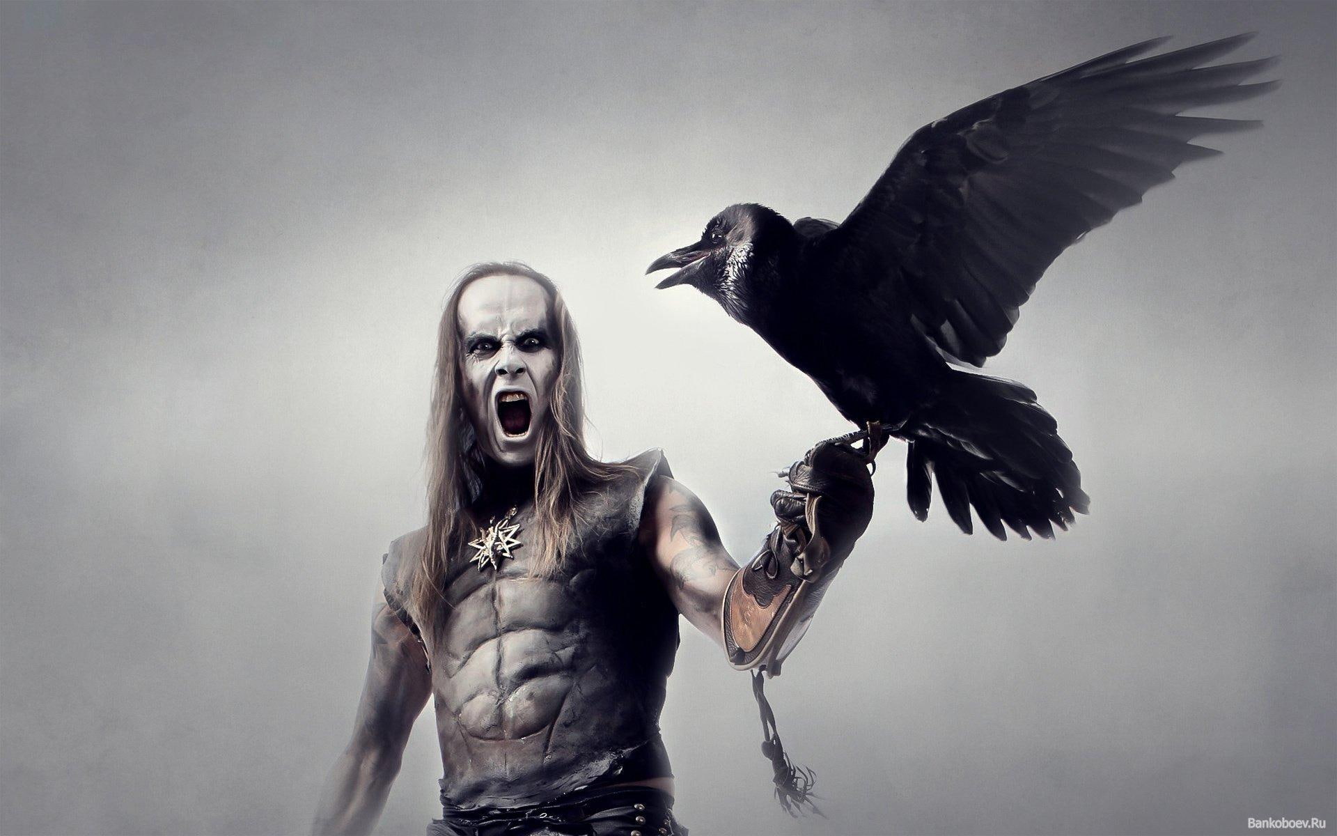 1080P, with, tame, raven, games, man, HD Wallpaper