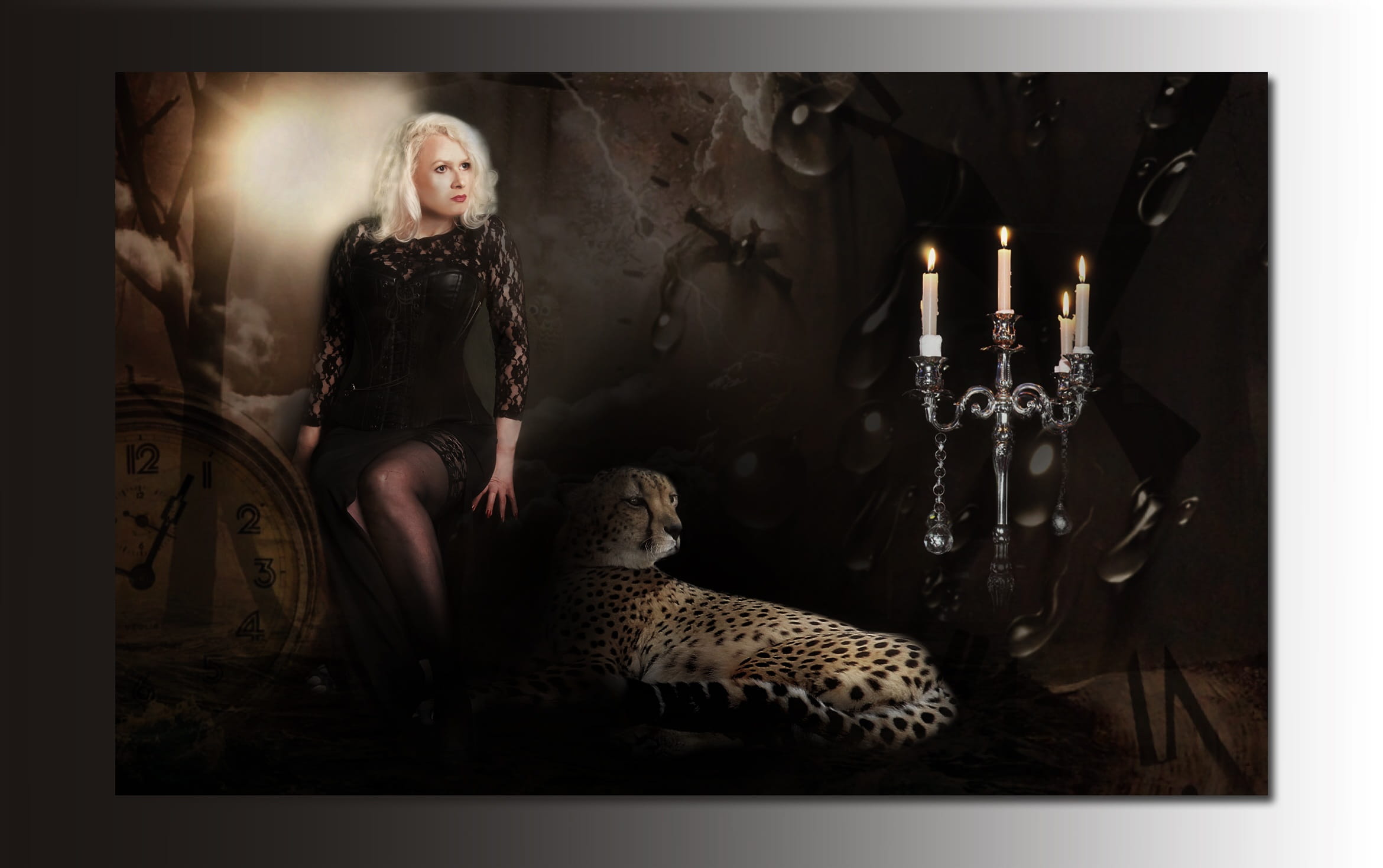 studio shot, sit, woman, adult, mammal, looking, females, tame, person, hairstyle, women, beauty, fashion, clothing, beautiful woman, one animal, predator, HD Wallpaper
