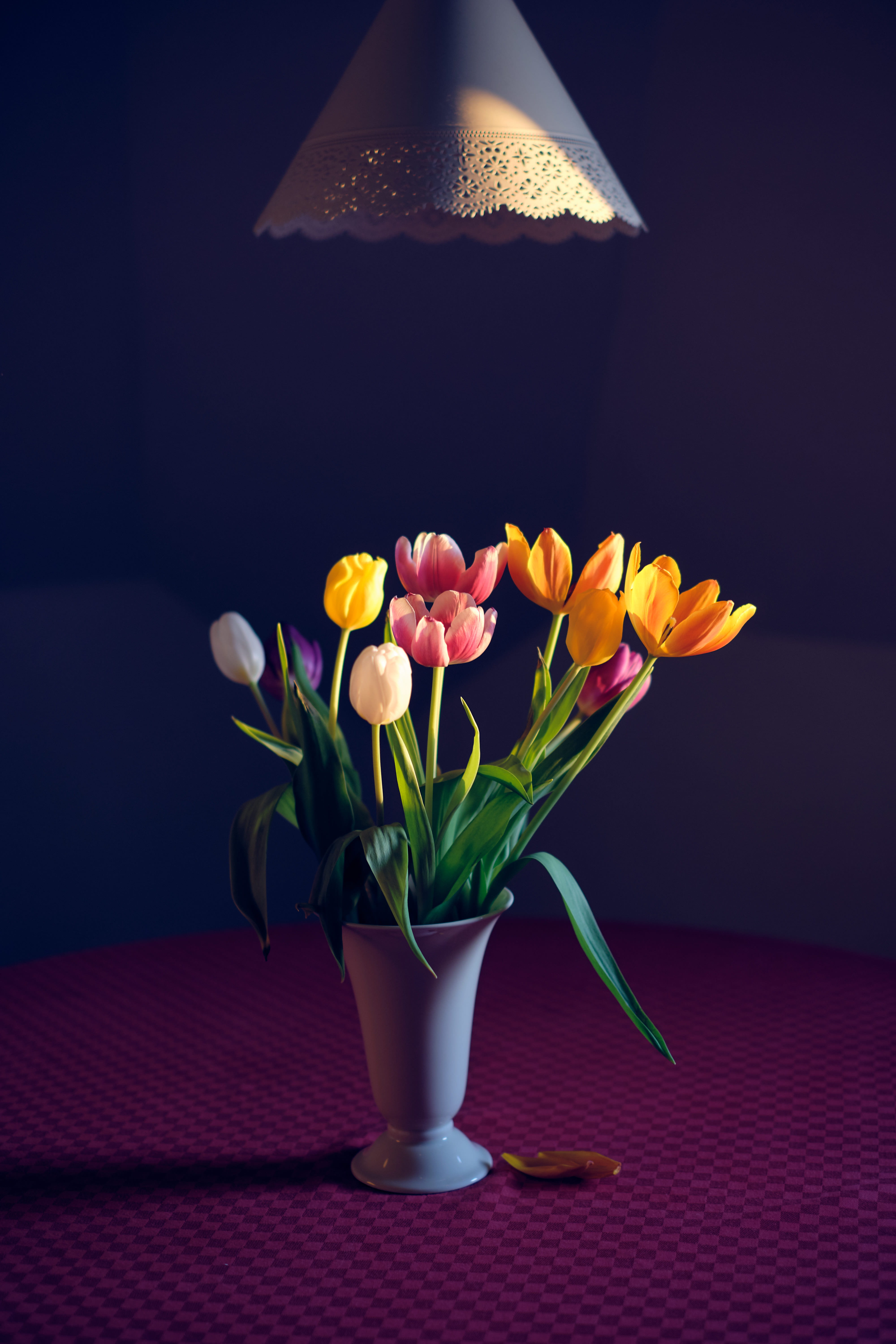 no people, vase, tulip, bouquet, plant, table, yellow, arrangement, lamp, vulnerability, blossom, indoors, flower, freshness, sunset, flower head, 5K, Phone HD Wallpaper