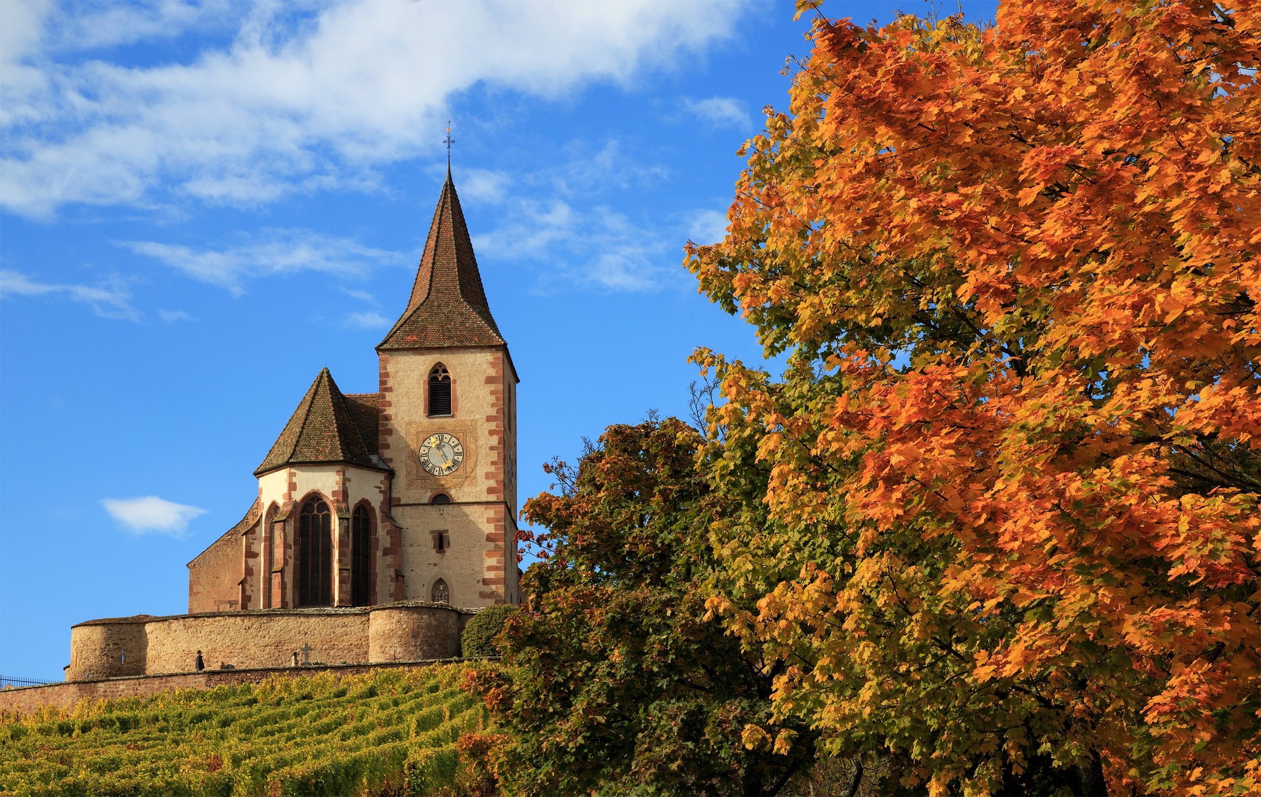 Church Saint-Jacques-le-Majeur, trees, 1080P, Hunawihr, Church of Saint-Jacques-Le-Mazher, The hunawihr, Church, autumn, France, HD Wallpaper