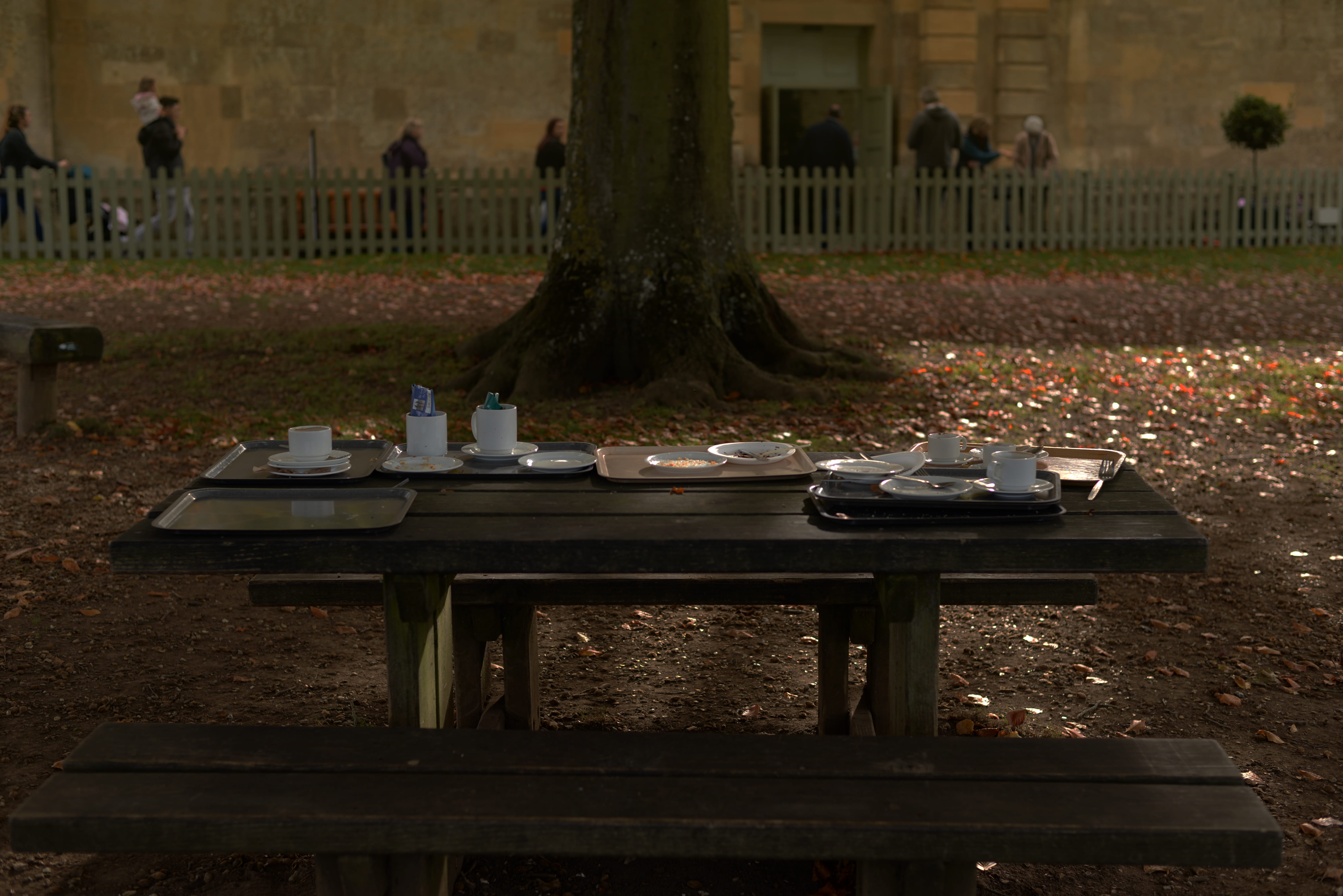 table, trunk, empty, united kingdom, absence, eating, day, incidental people, 5K, tree, field, nature, woodstock, after breakfast, plant, autumn, wood - material, HD Wallpaper