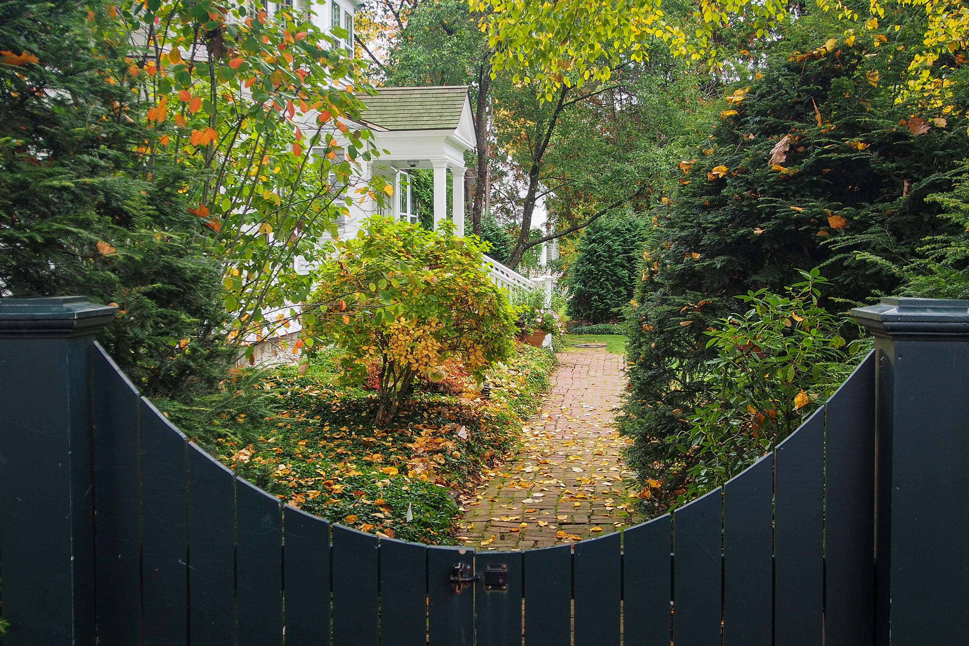 growth, footpath, plant part, building exterior, united states, house, gate, direction, day, railing, no people, walkway, plant, nature, green color, tree, HD Wallpaper
