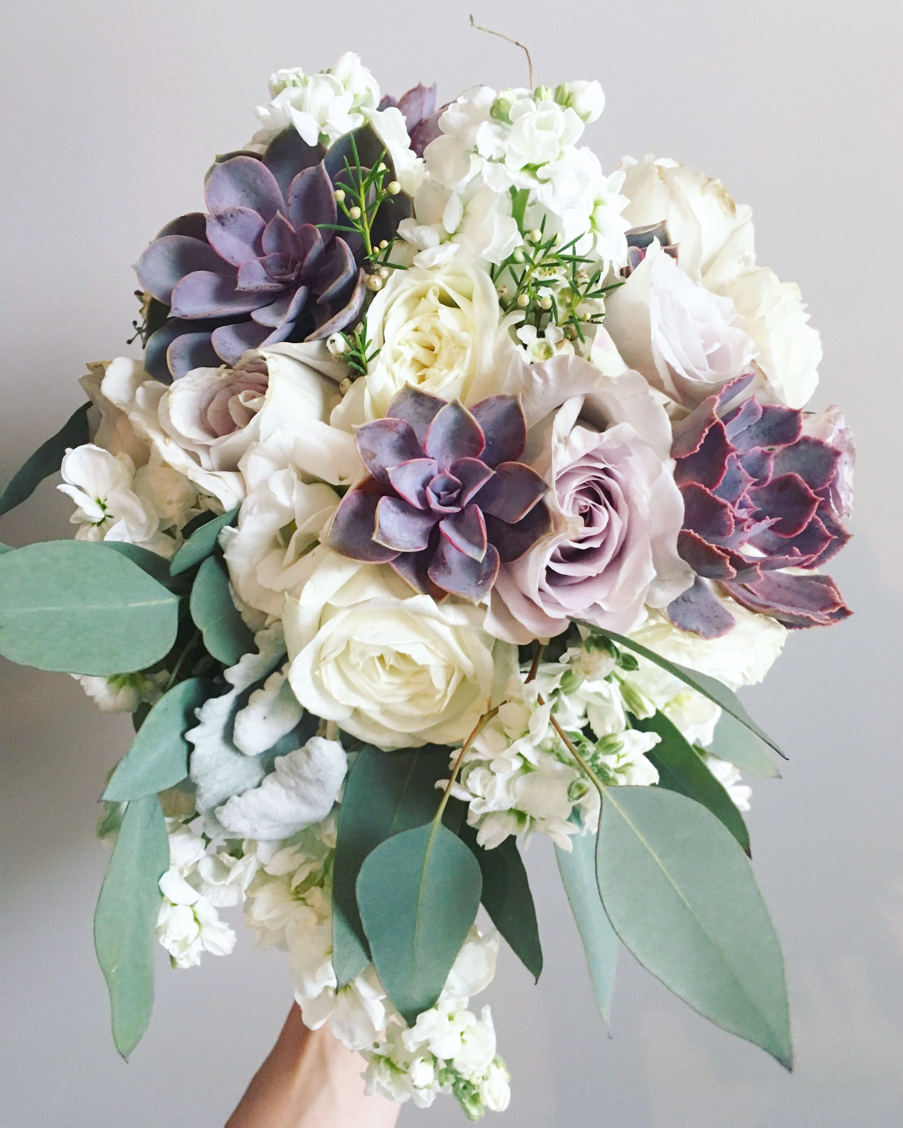 nature, 125 noonday street, purple, rose - flower, petal, flowering plant, indoors, white color, bouquet, close-up, vulnerability, fragility, beauty in nature, Phone HD Wallpaper