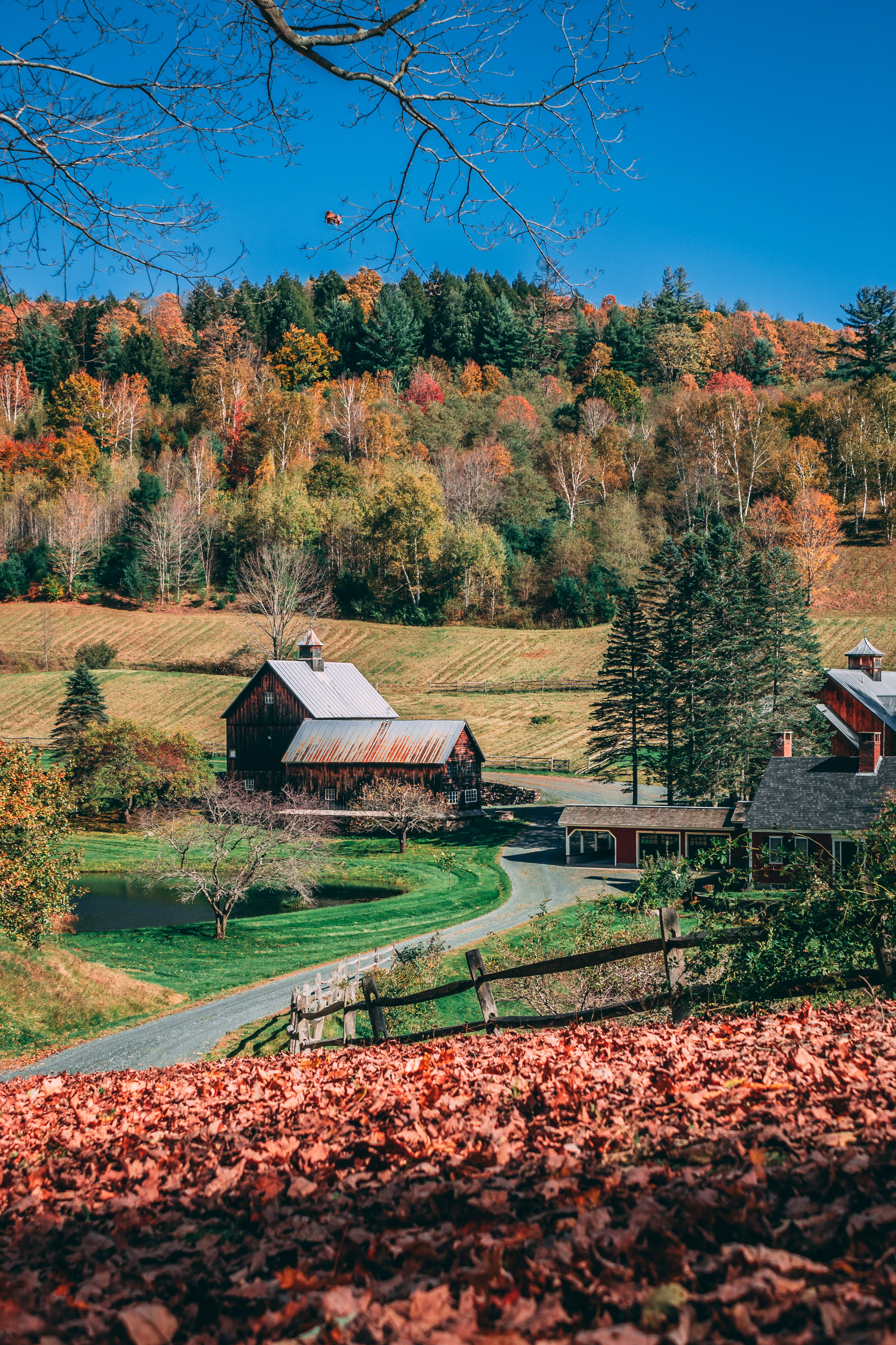 hut, dirt road, beauty in nature, woodstock, sunlight, environment, landscape, autumn, scenery, field, scenics - nature, 5K, road, tree, countryside, architecture, Phone HD Wallpaper