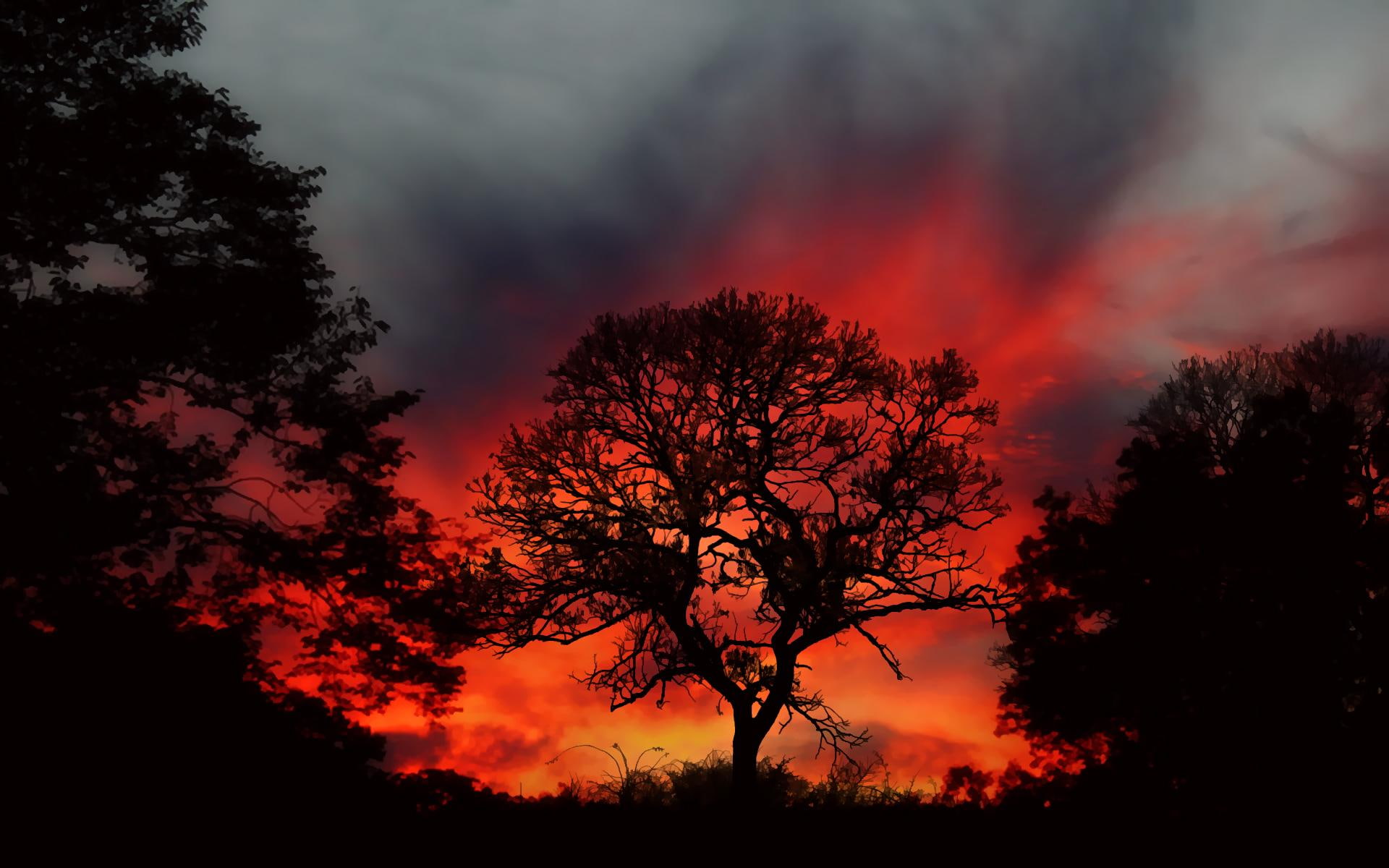 1080P, 3d and abstract, fantasy, descends, dusk, abstract, HD Wallpaper