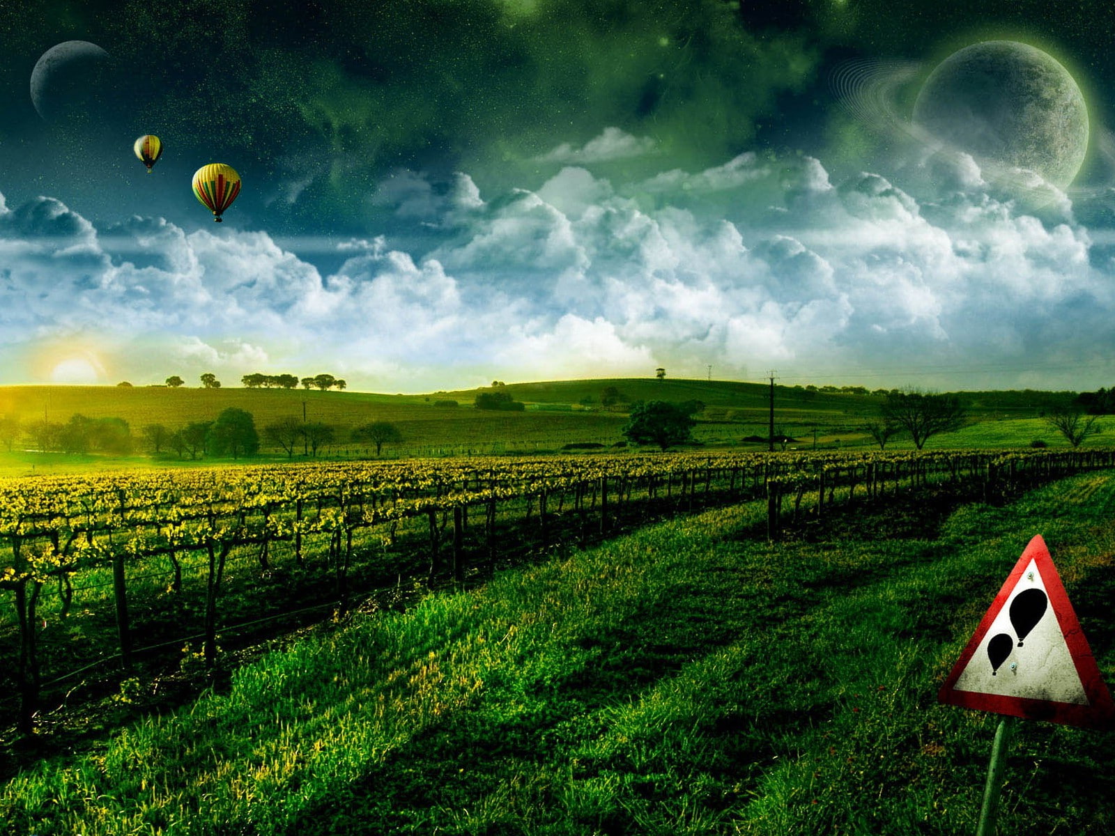growth, day, crop, no people, scenics - nature, cloud - sky, rural scene, plant, landscape, farm, agriculture, tranquil scene, nature, tranquility, environment, HD Wallpaper